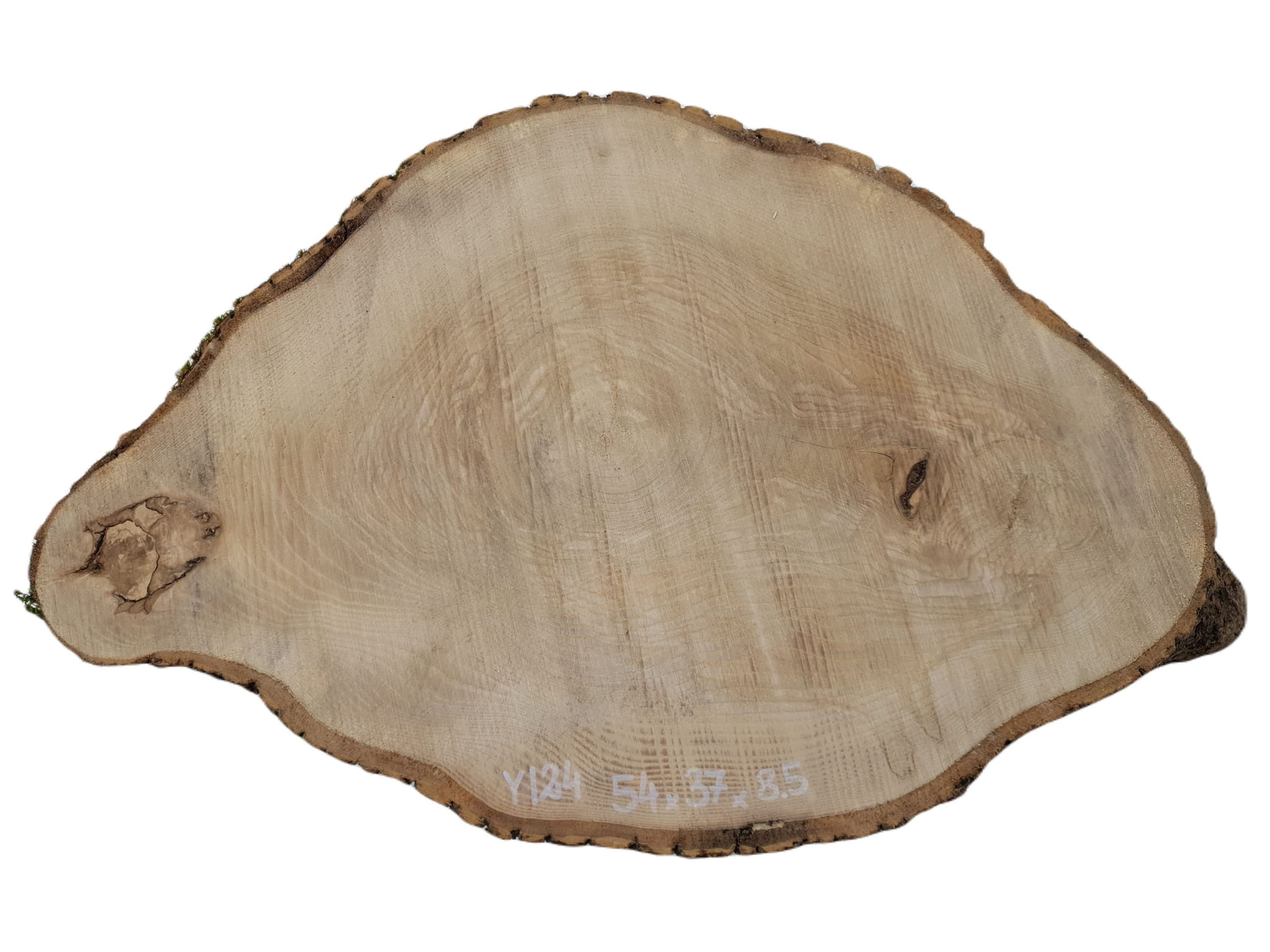 Plaster Jesionowy 54x37cm Różne Rozmiary Drewno