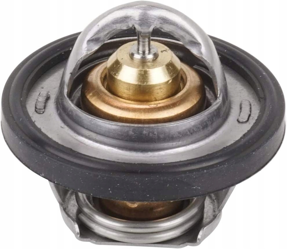 Termostat Polaris Sportsman 570 7052496