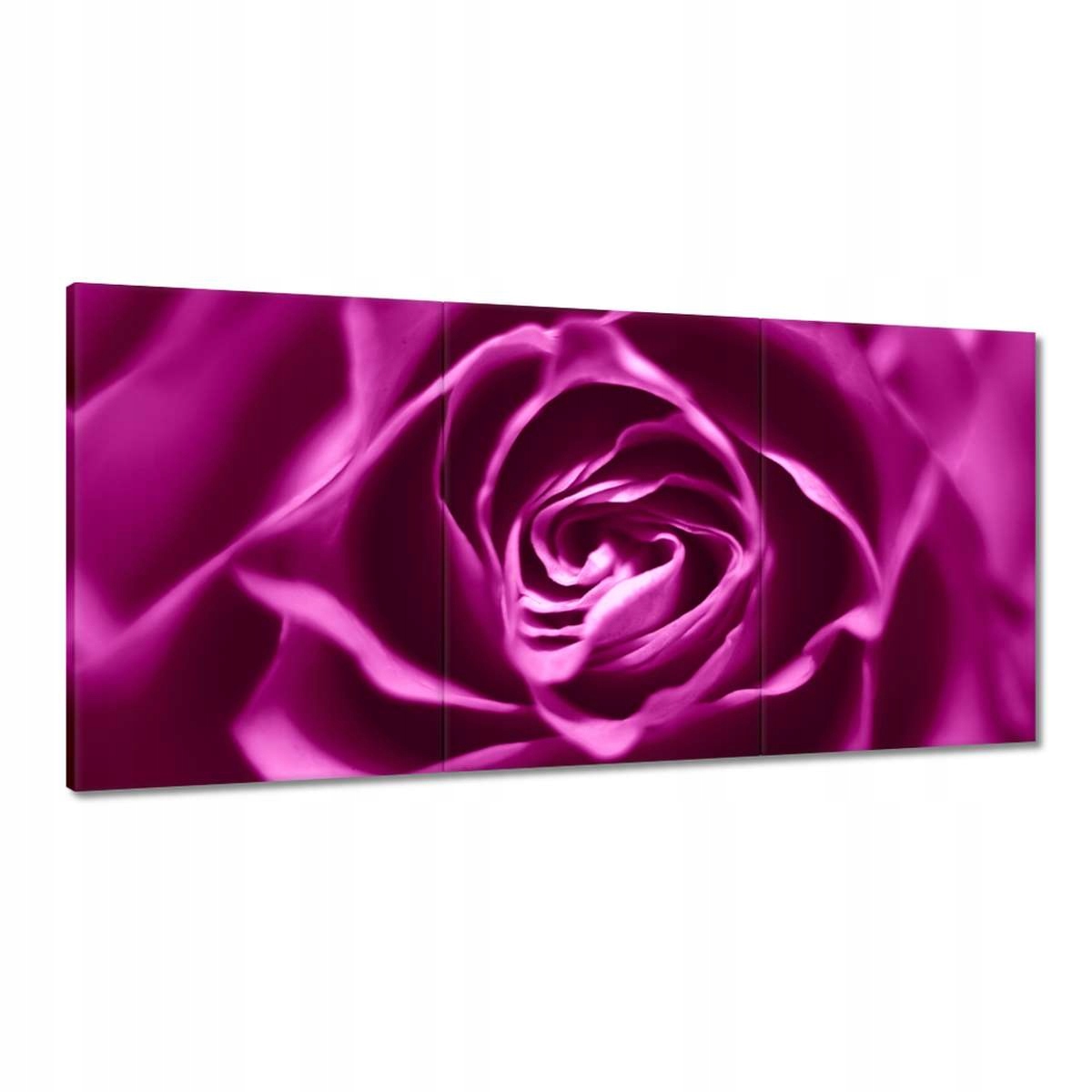 Obrazy 180x90 Fialová ruža Makrofoto