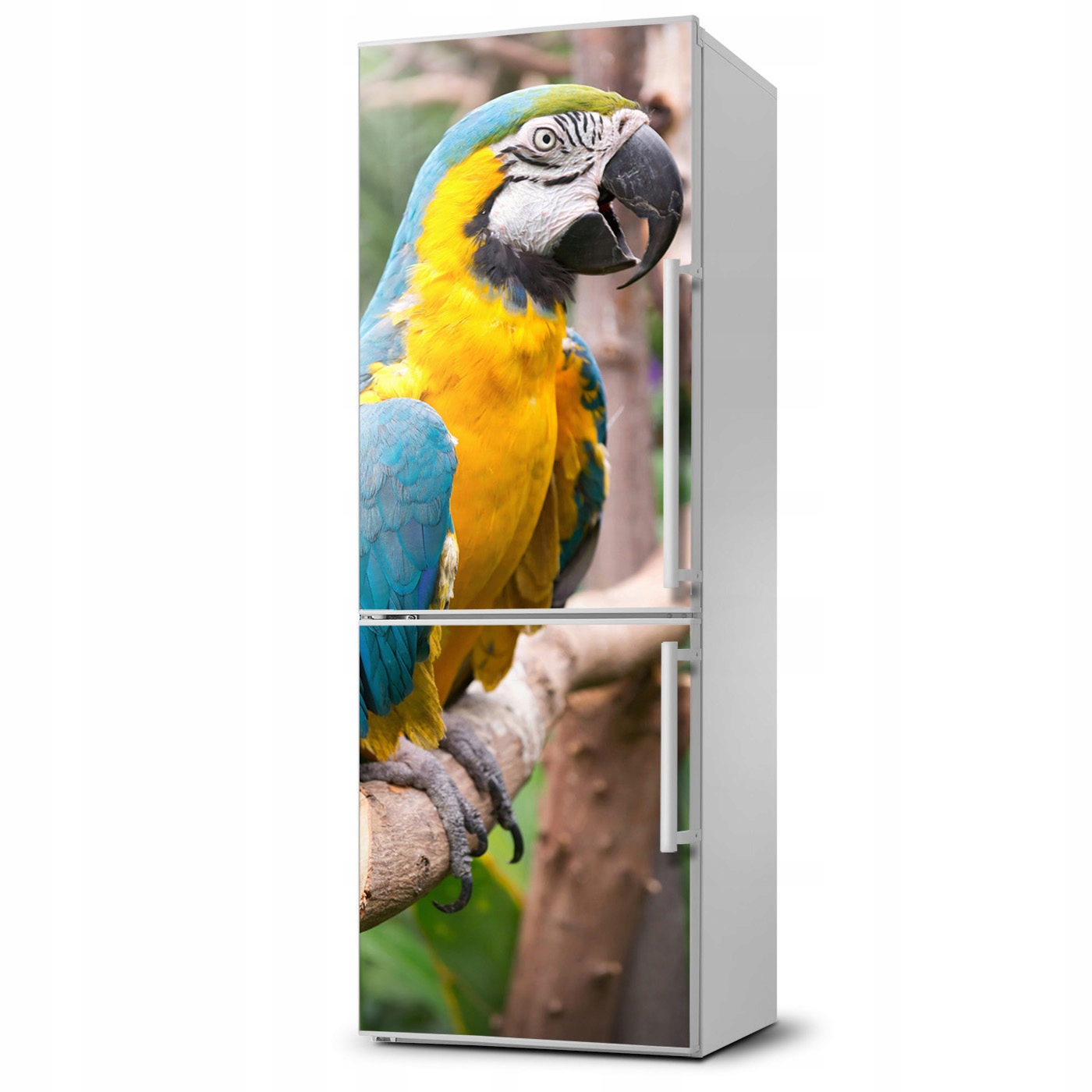 

Mata magnetyczna na lodówkę Papuga Ara 60x180