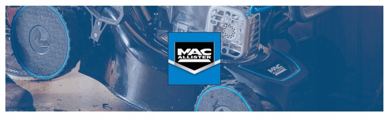 SZLIFIERKA STOŁOWA DWUTARCZOWA 150 W MACALLISTER Typ podwójna