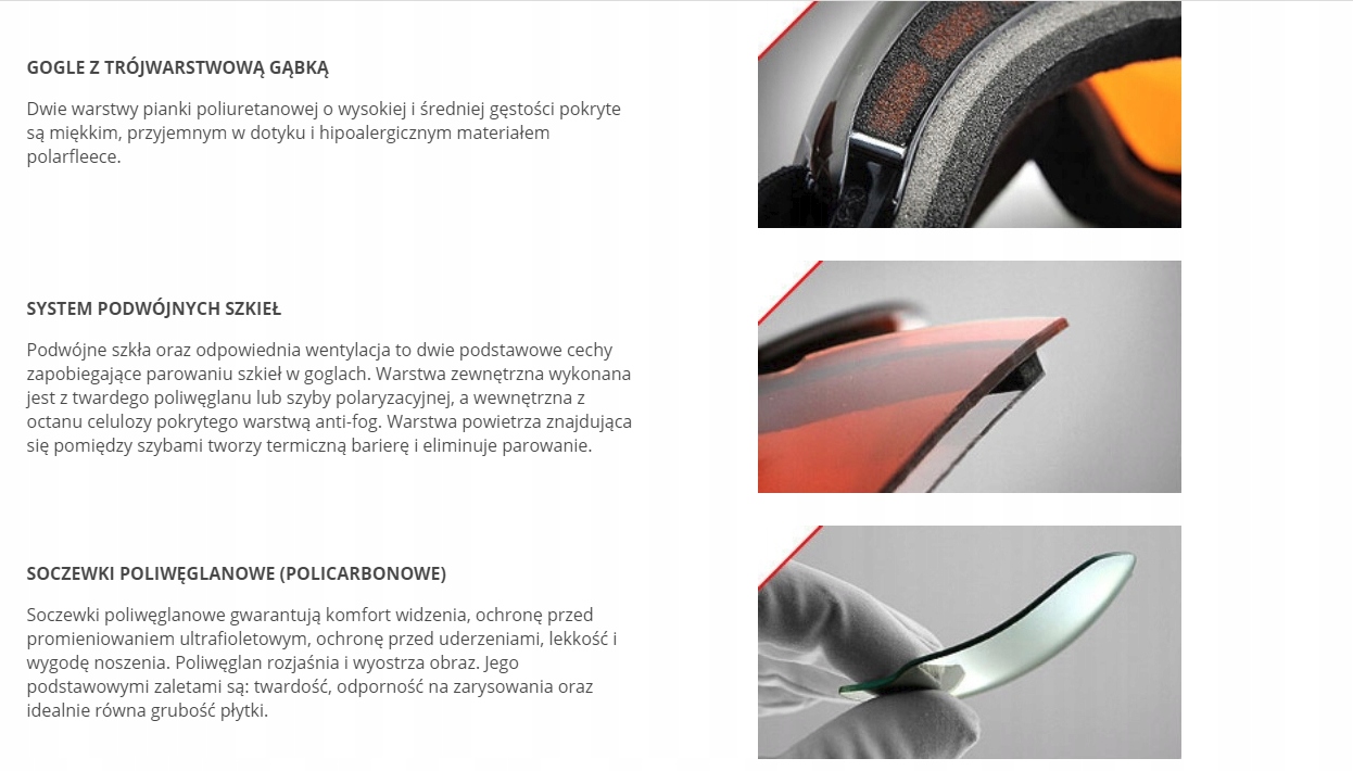 GOGLE ARCTICA G-113A SNOWBOARD NARCIARSKIE MAGNES Rodzaj gogle