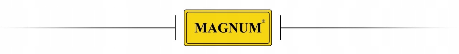 REDUKTOR DO AZOTU BUTLOWY AZOT MAGNUM Kod producenta RBAZ-128