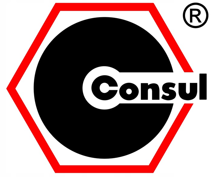 PODNOŚNIK DWUKOLUMNOWY CONSUL 2.30 Z RAMA Kod producenta 2.30 EASYLIFT