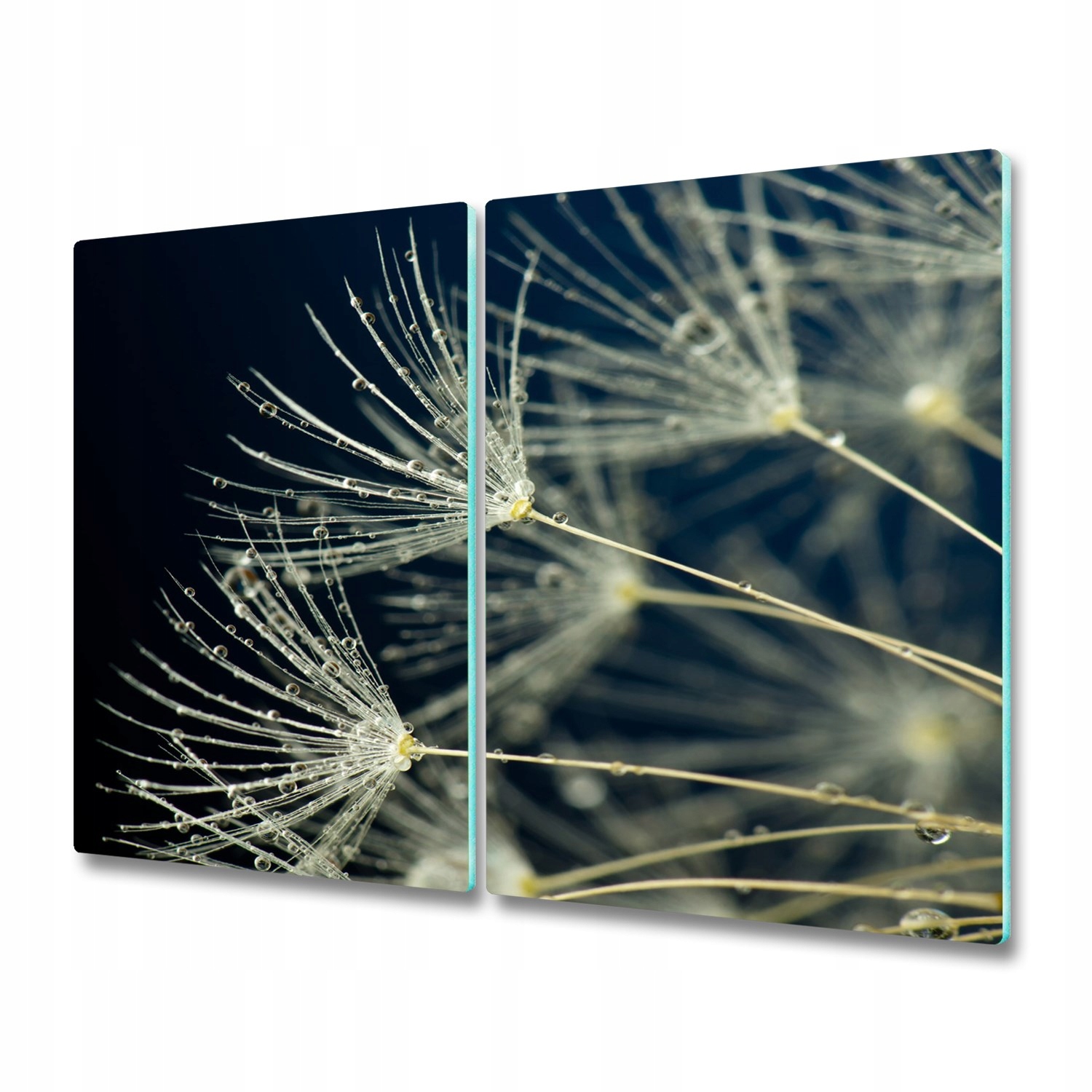 

Panel szklany do kuchni Nasiona dmuchawca 2x30x52