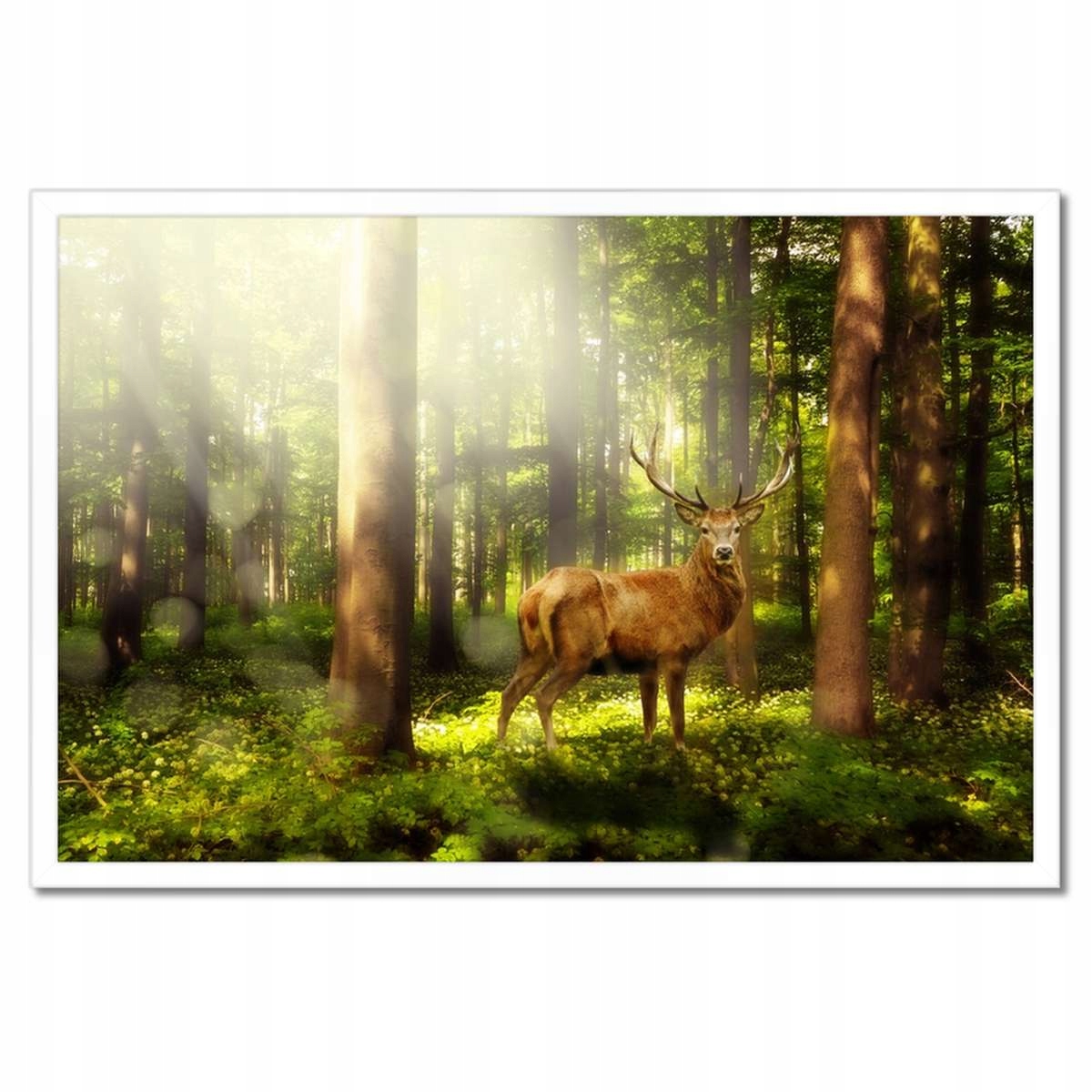 Plakáty v rámu 60x40 Jelen v kouzelném lese