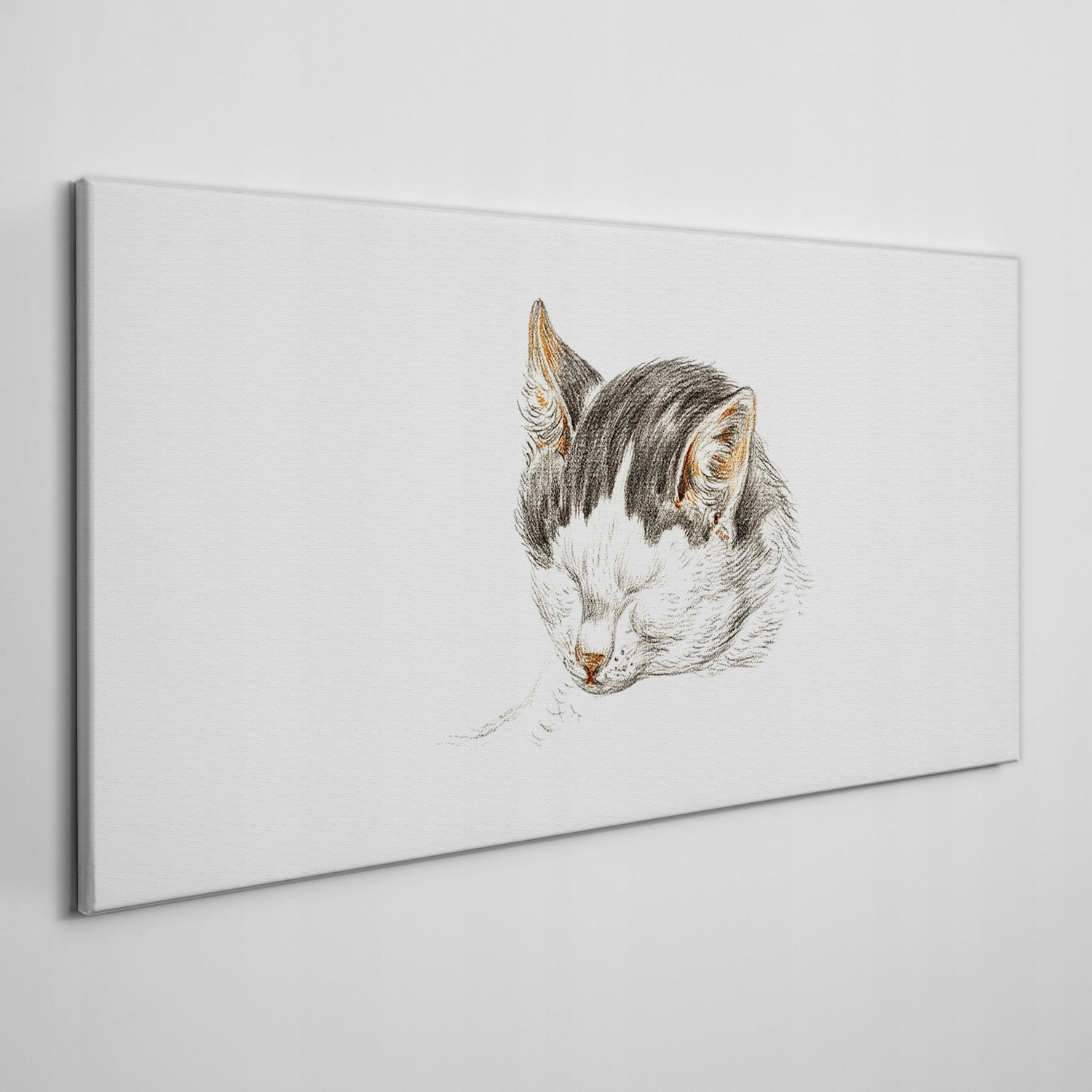 

Obraz na płótnie na ramie Zwierzę kot 100x50 cm