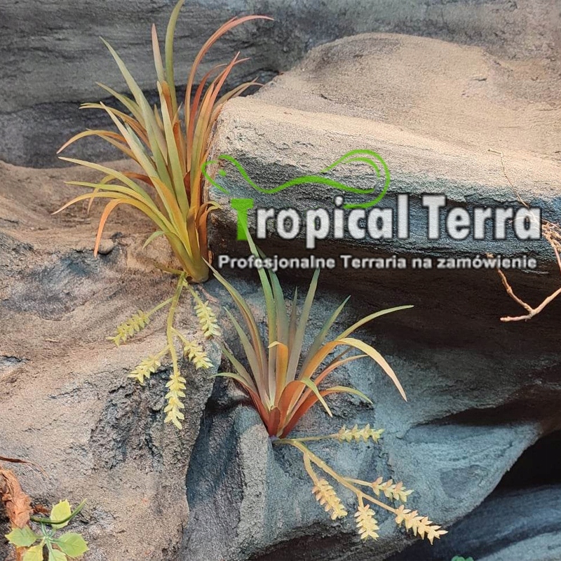 

Tillandsia Ionantha Red Sztuczna Oplątwa Terrarium