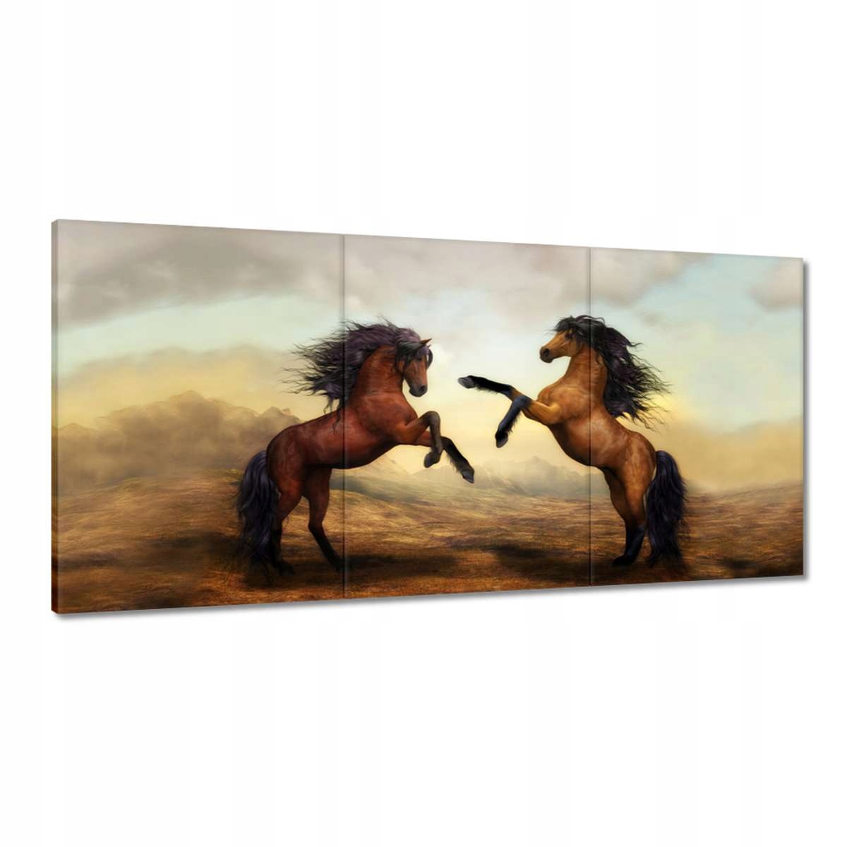 Obrazy 180x90 Dva kone