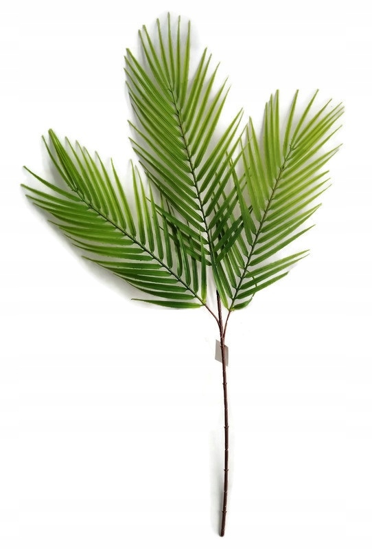 

Gałązka Palma liście palmowe silikonowe Guma 80 cm