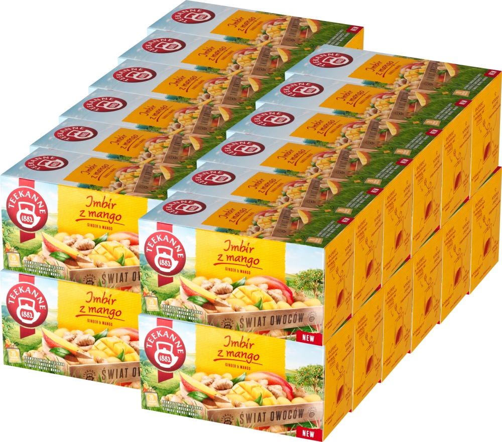 Teekanne 20tb Ginger Mango x24