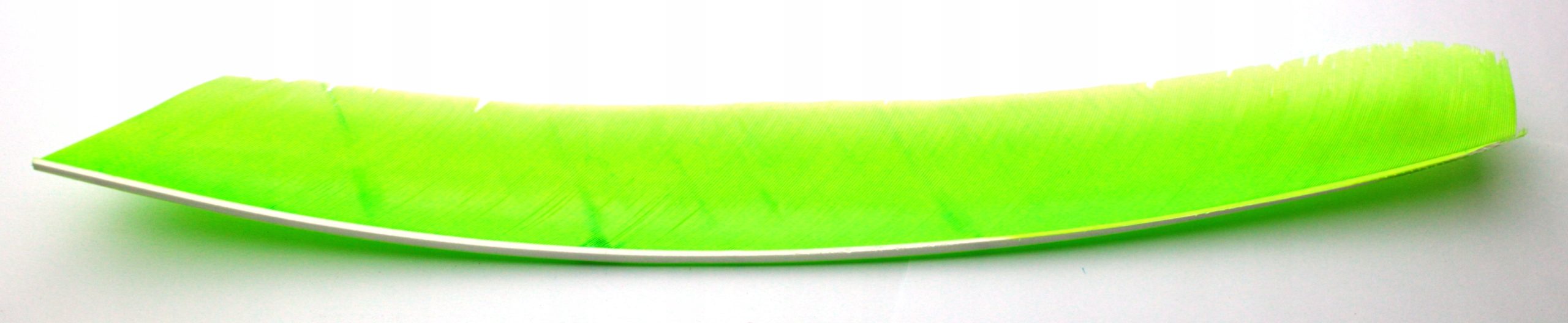 Lotki z całego pióra Bearpaw 12 szt
