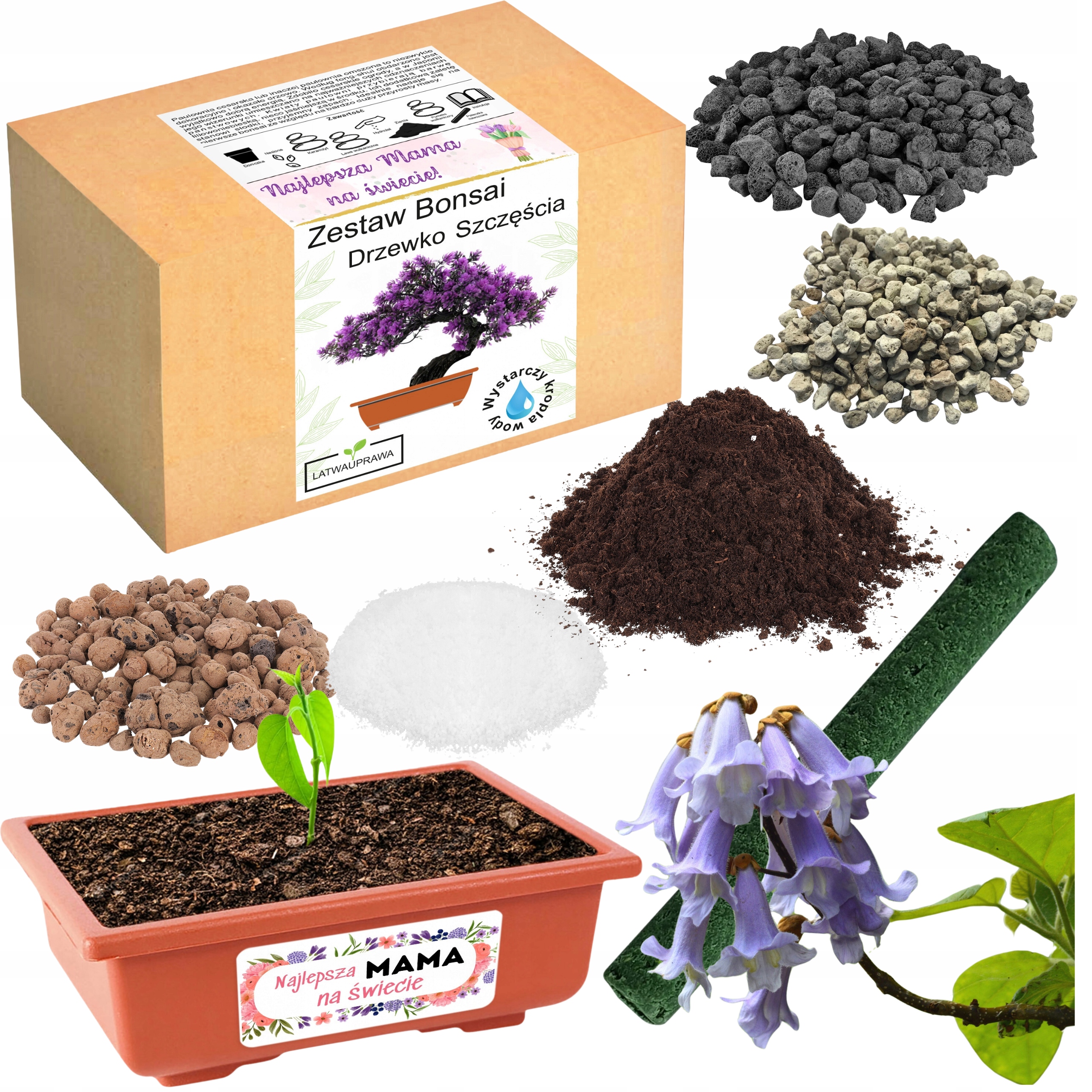 AJÁNDÉK ANYÁK NAPJÁRA SZERENCSEFA BONSAI AJÁNDÉK ANYÁK NAPJÁRA