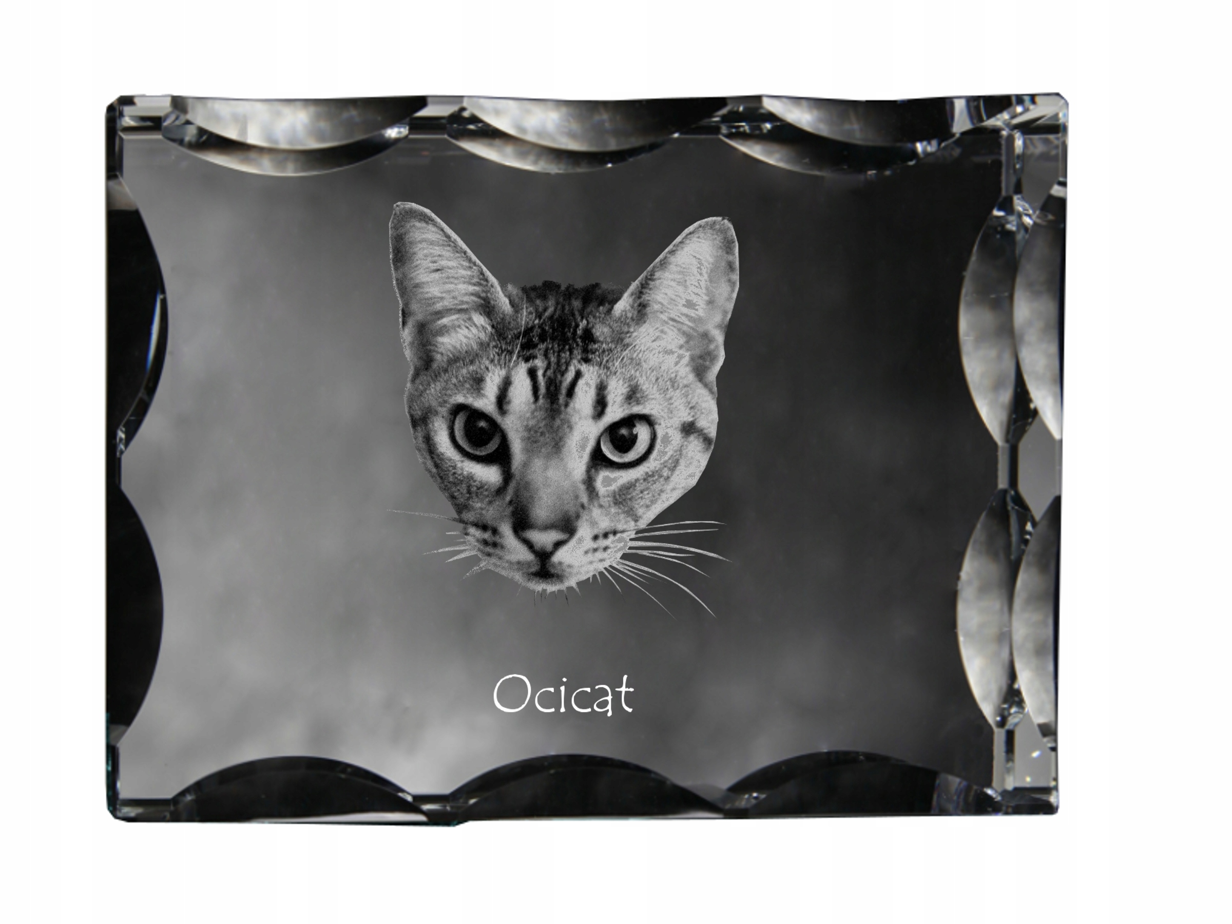 Mačka Ocicat foto v ozdobnom kryštáli, suvenír, dekorácia domu