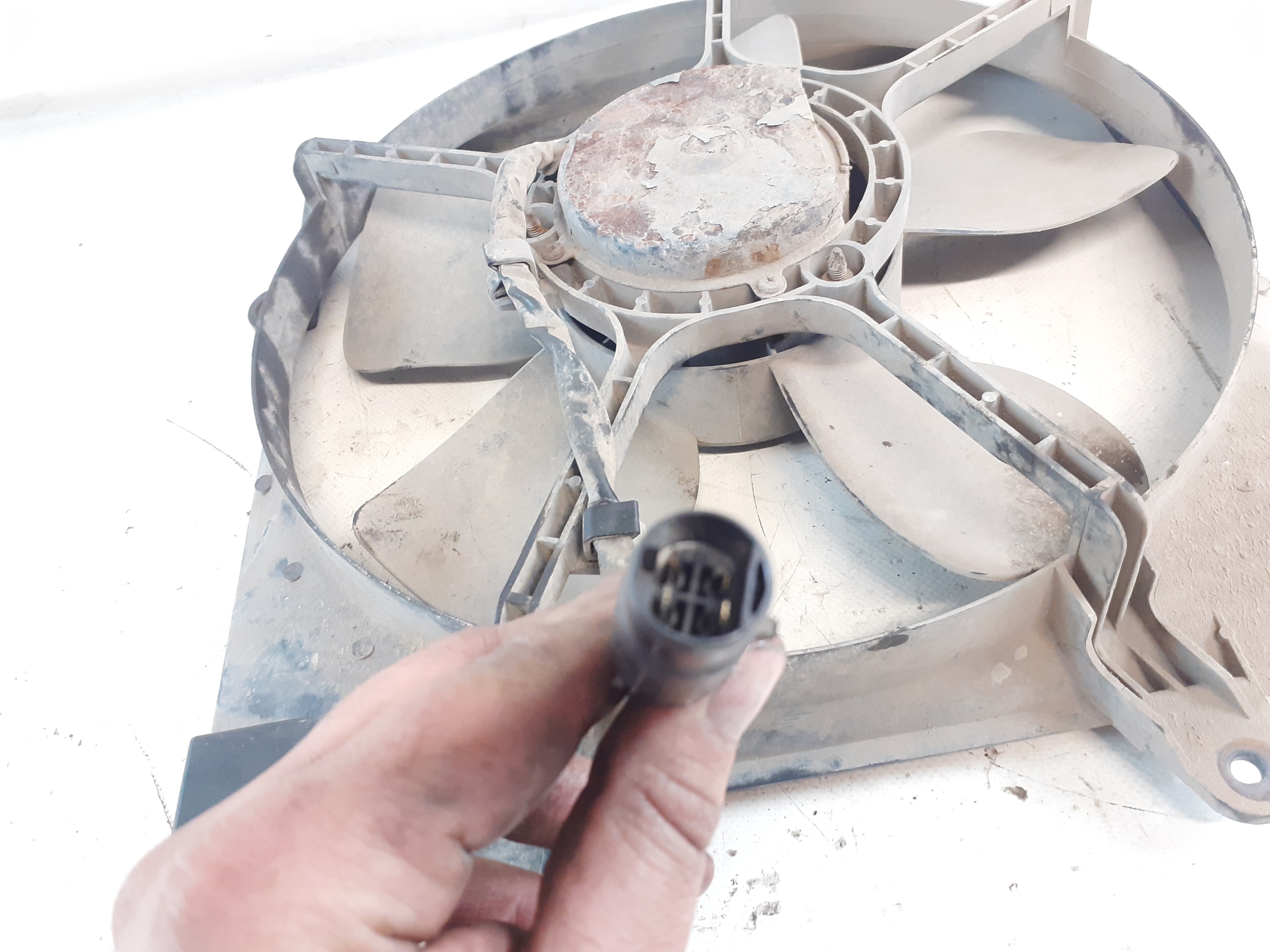 Ventola radiatore KIA CARNIVAL e 2.9TDI