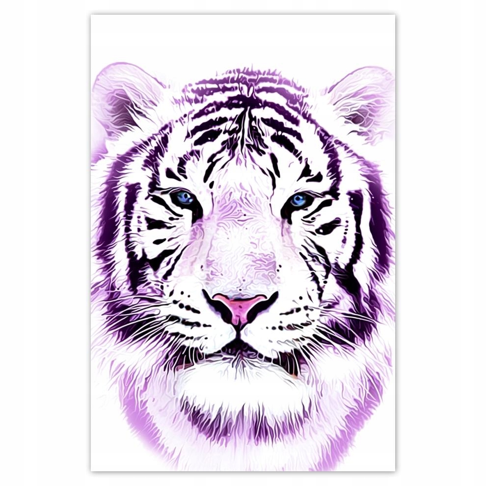 

Plakat 62x93 Delikatna grafika Tygrys