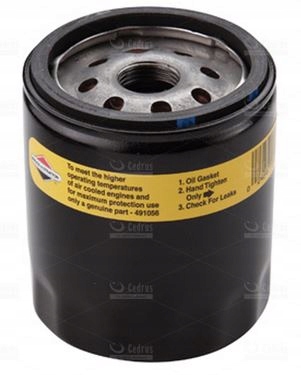 

Filtr oleju długi Briggs&Stratton 491056