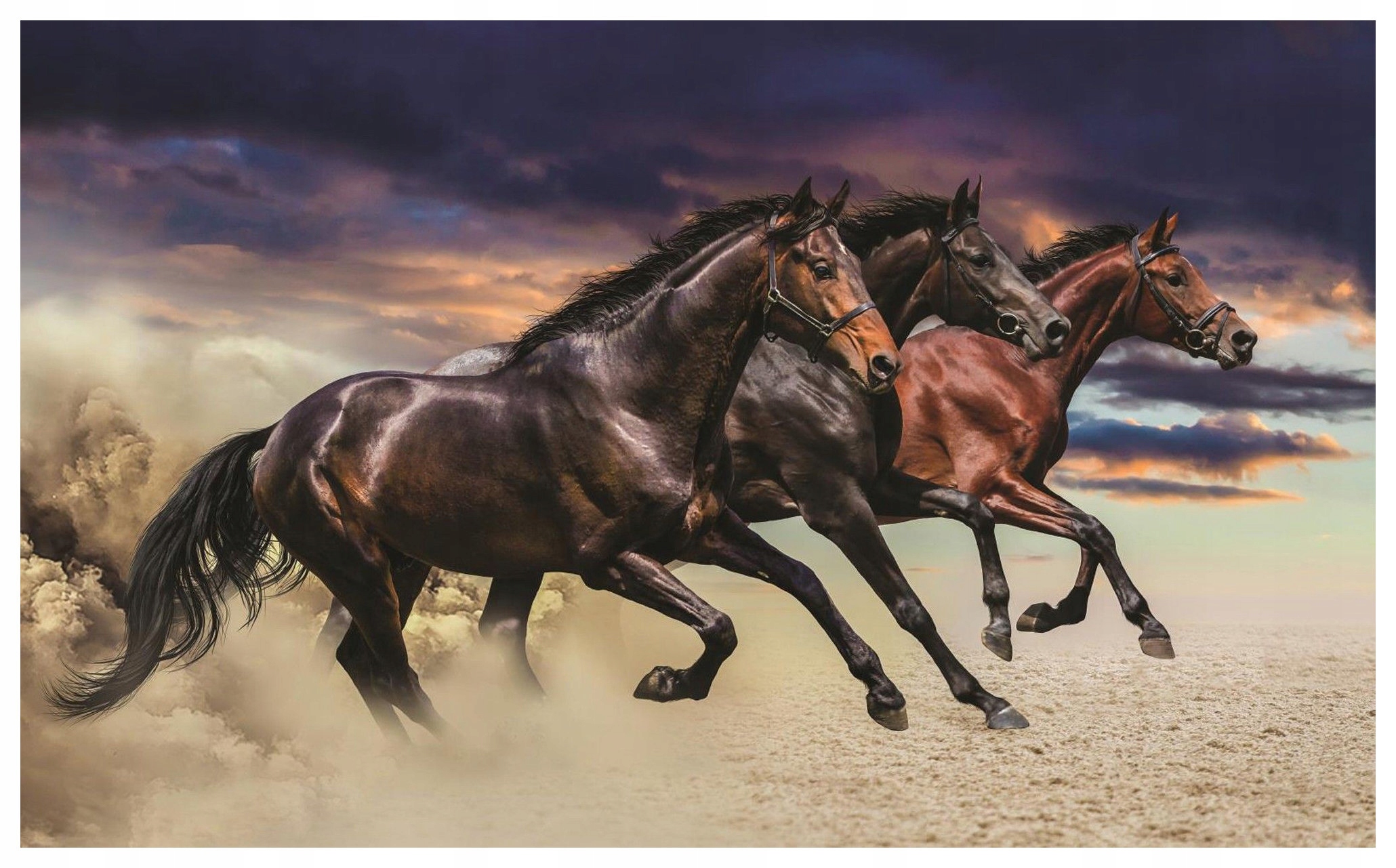 Fototapeta Kone v prachu a divokej dynamike 416x254 vinylová lepidlo