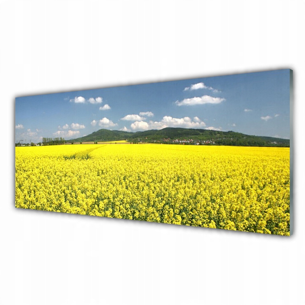 

Obraz akryl wiszący 125x50 Pole Łąka Natura Rzepak
