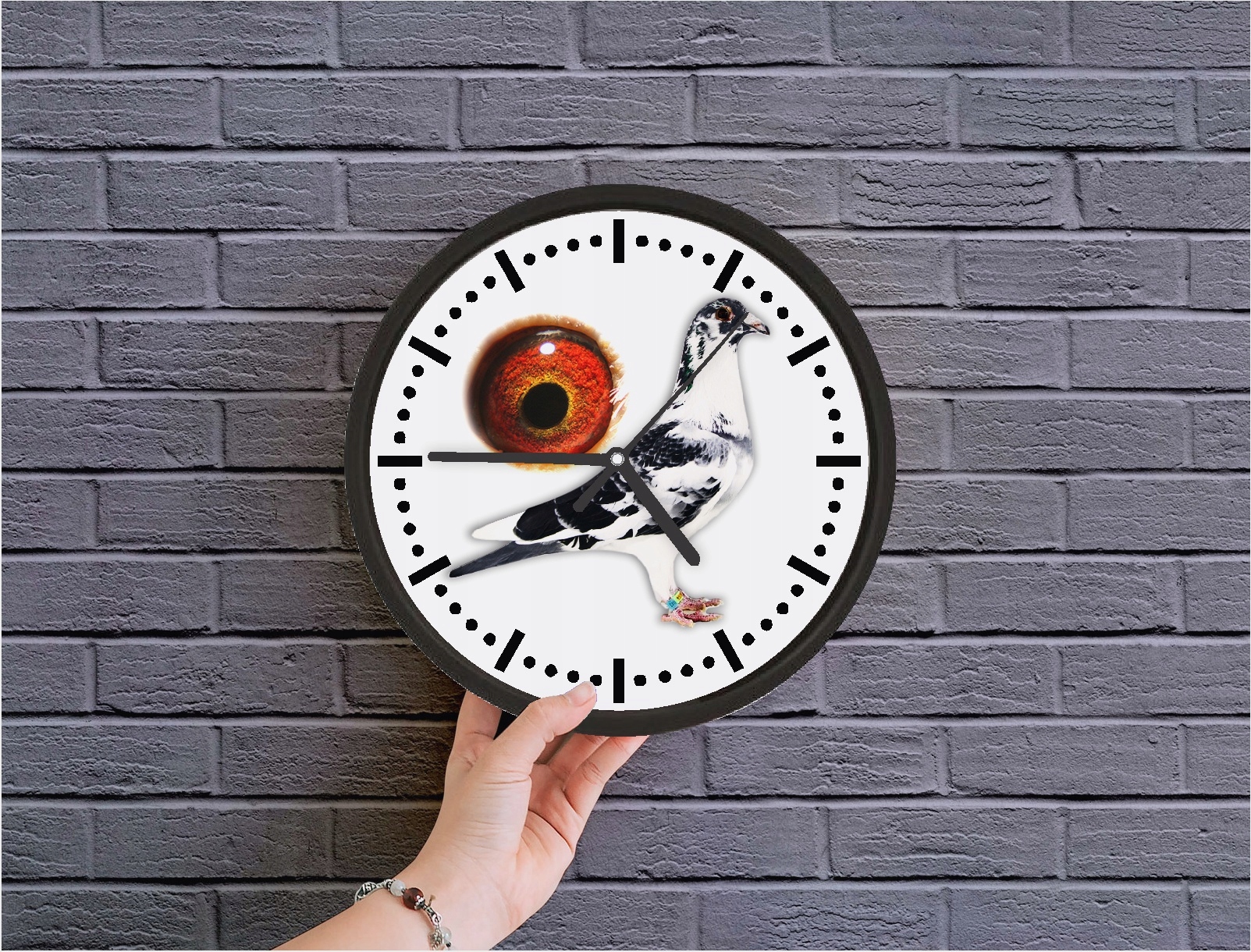 Zegar hodowcy gołębi ścienny Marka inna