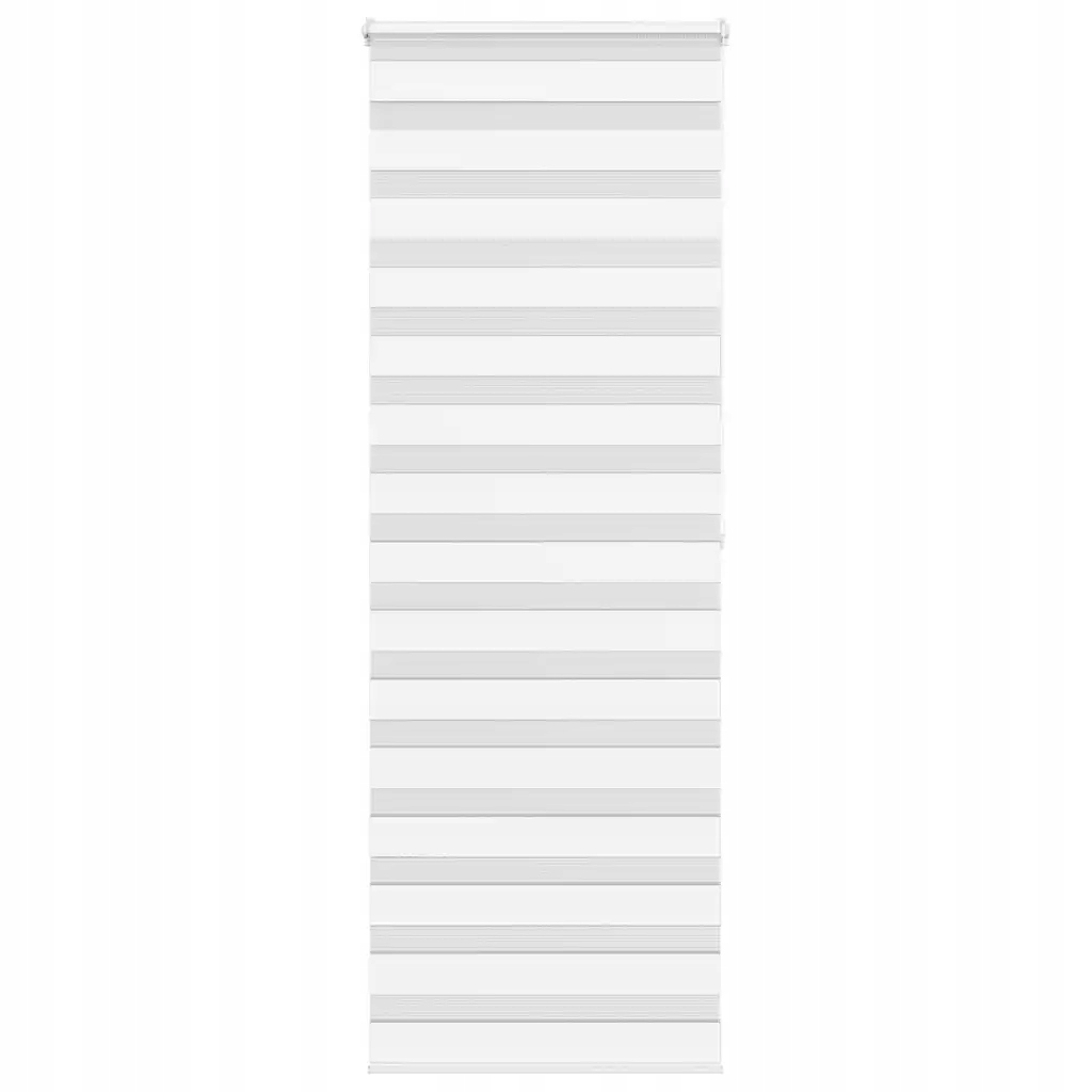 Zebra roleta bílá 70x200 cm šířka látky 65,9 cm polyester Bílá 4014775