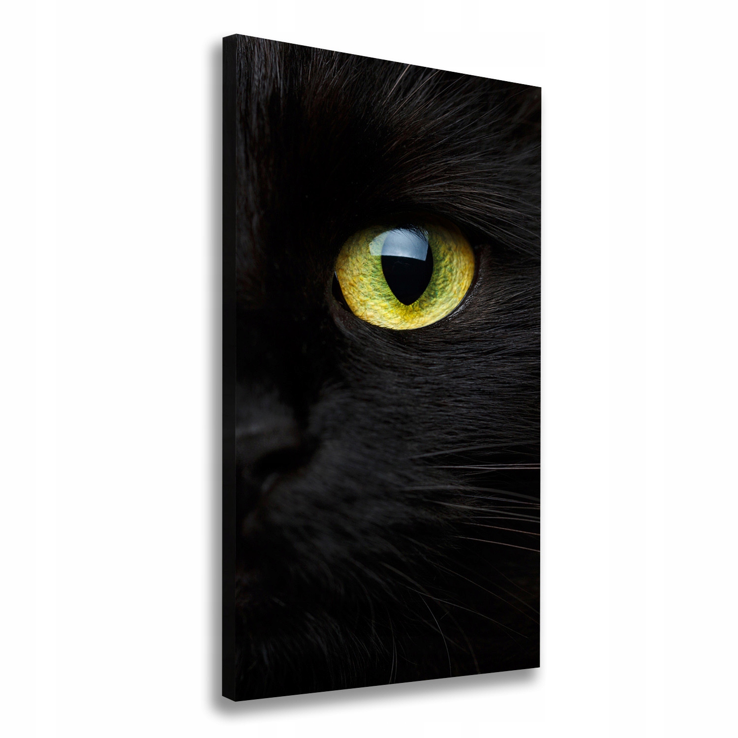 

Foto obraz na płótnie do salonu Oczy kota 60x120cm