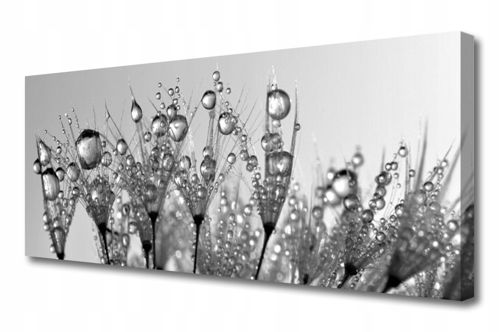 obraz na plátně Umění Rostlina Příroda 125x50