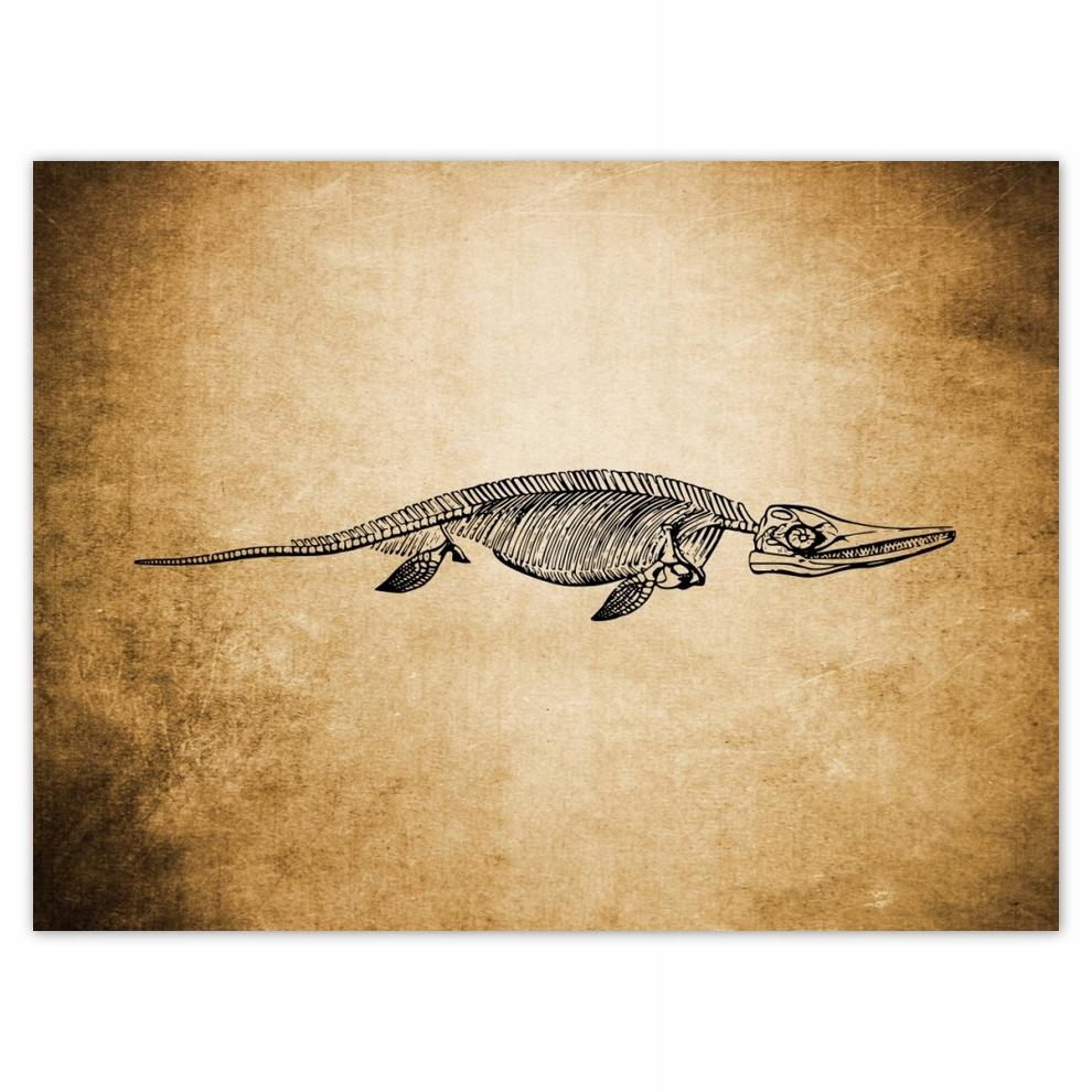 

Plakat 40x30 Dinozaur Prehistoria Dino