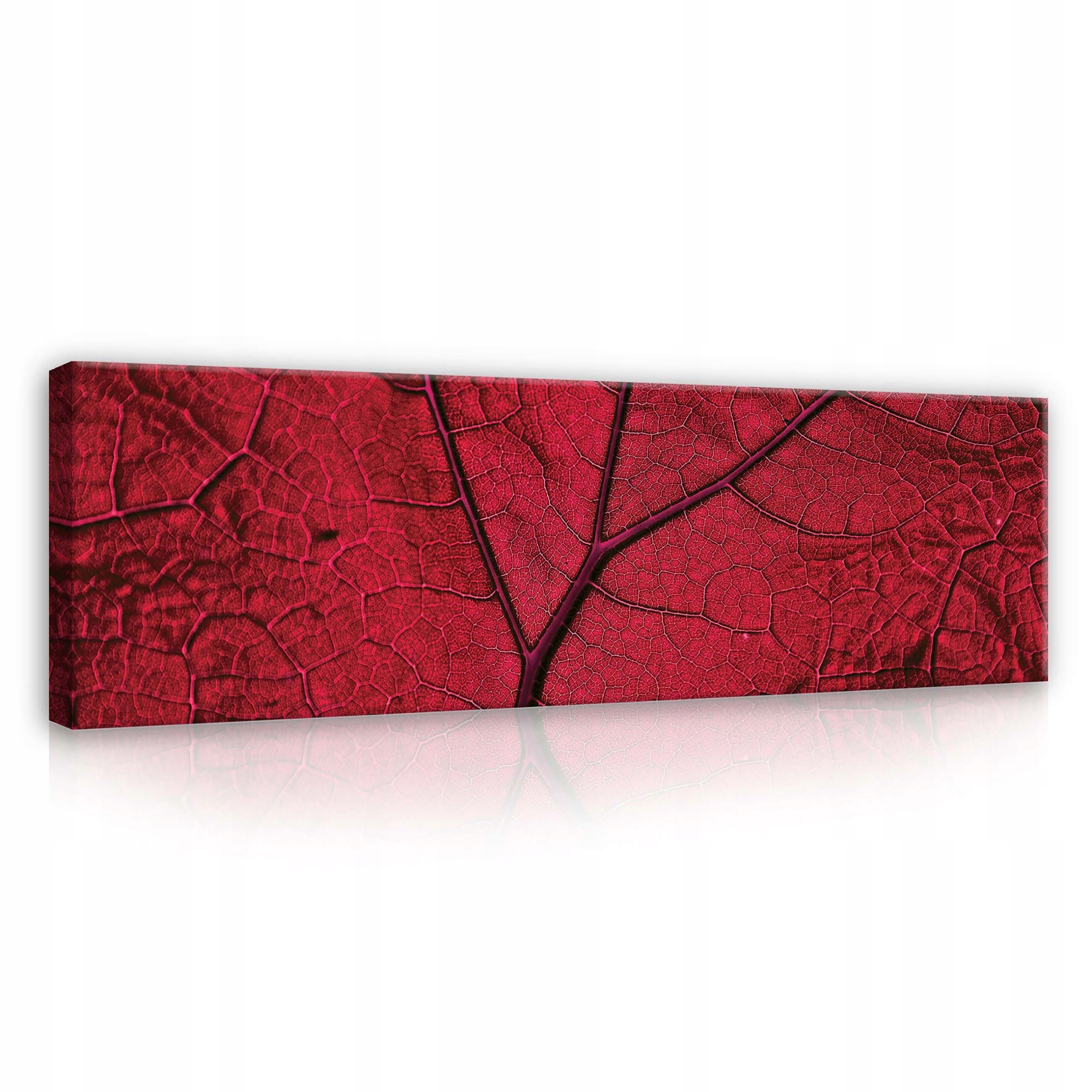 Obraz 145x45 Makro listy červený list žilky list textura kapky vody