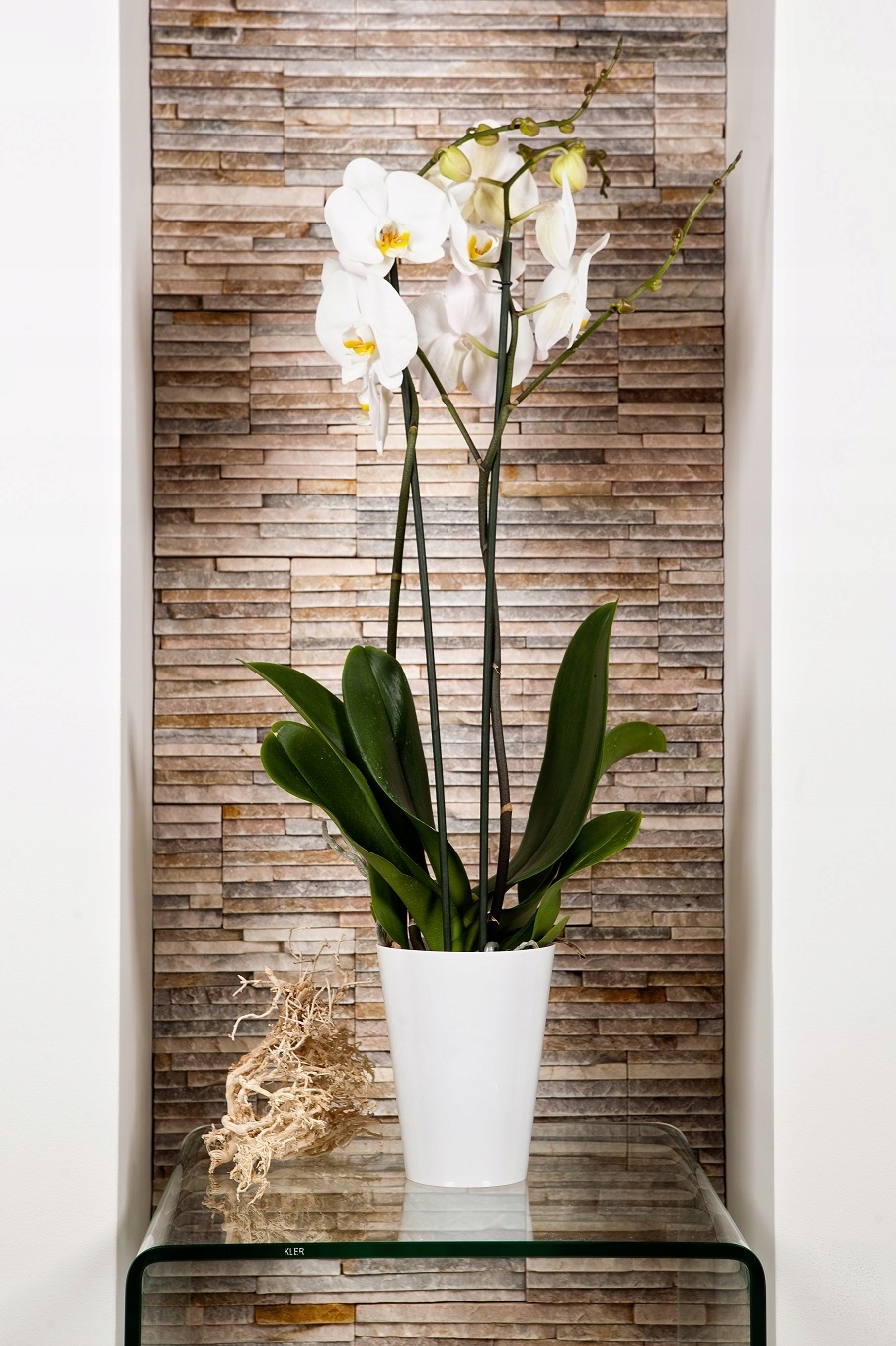 DONICZKA OSŁONKA NA STORCZYK KWIETNIK PLASTIKOWA ROŚLINY 13 CM BIAŁA KADAX Wysokość produktu 17 cm