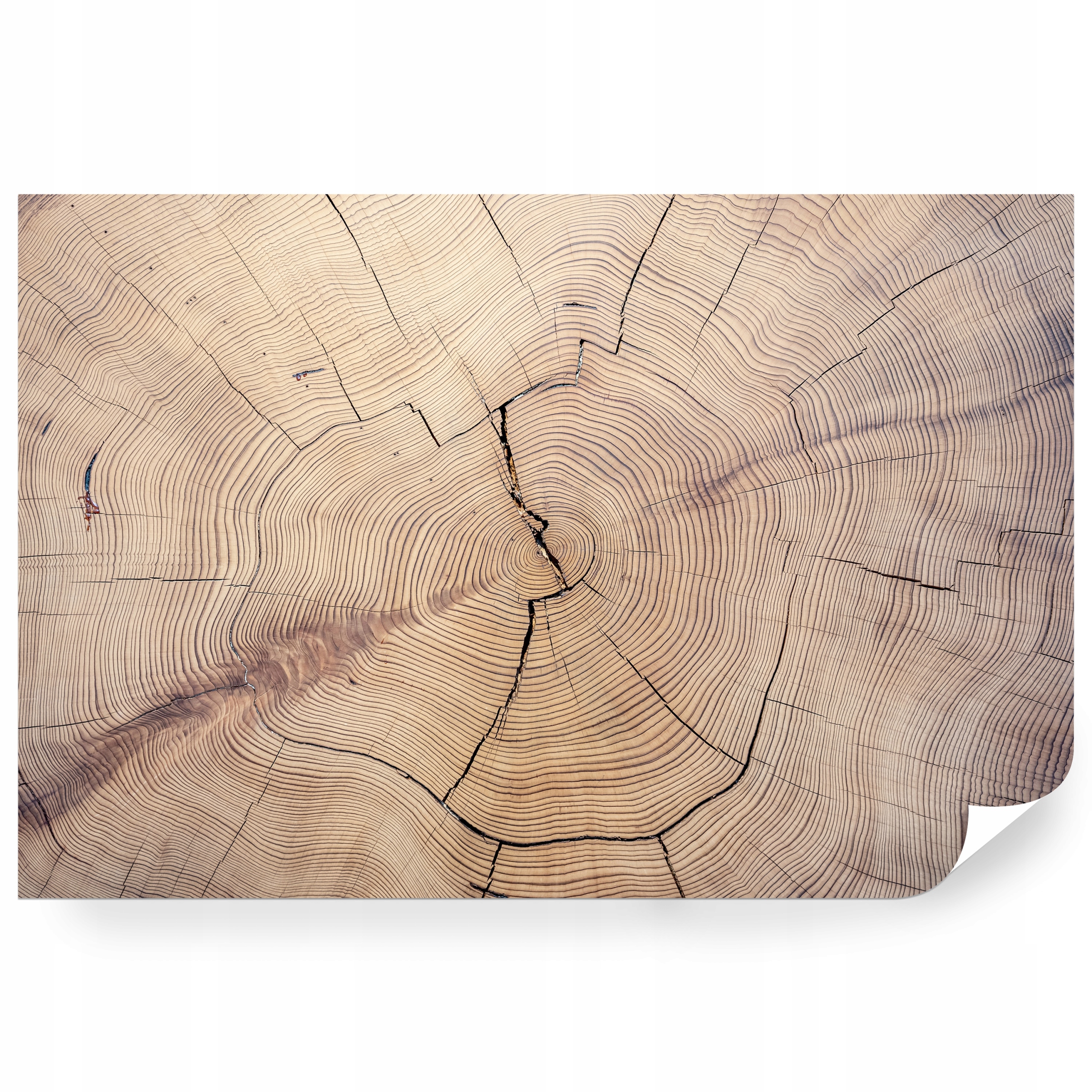 Fototapeta samolepicí Textura Starého Prořezaného Dřeva 450 x 300 cm