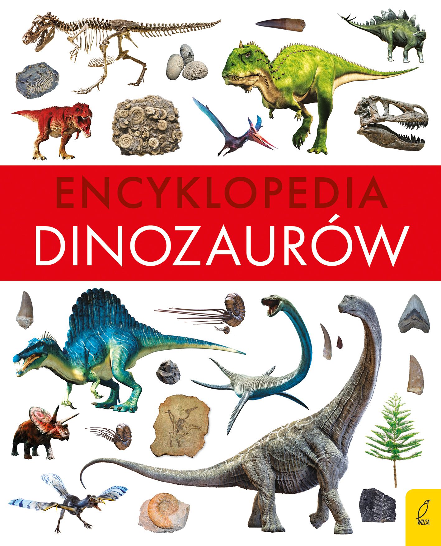 

Encyklopedia dinozaurów Paweł Zalewski