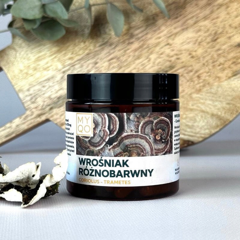 Wrośniak Różnobarwny Coriolus 90 Kaps 500 Mg Ekstrakt Myqo