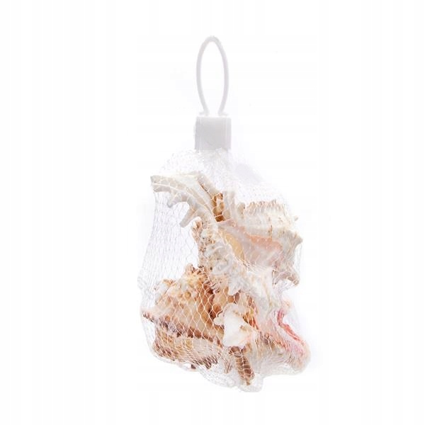 

Dekoracyjne duże muszelki do akwarium wazonu