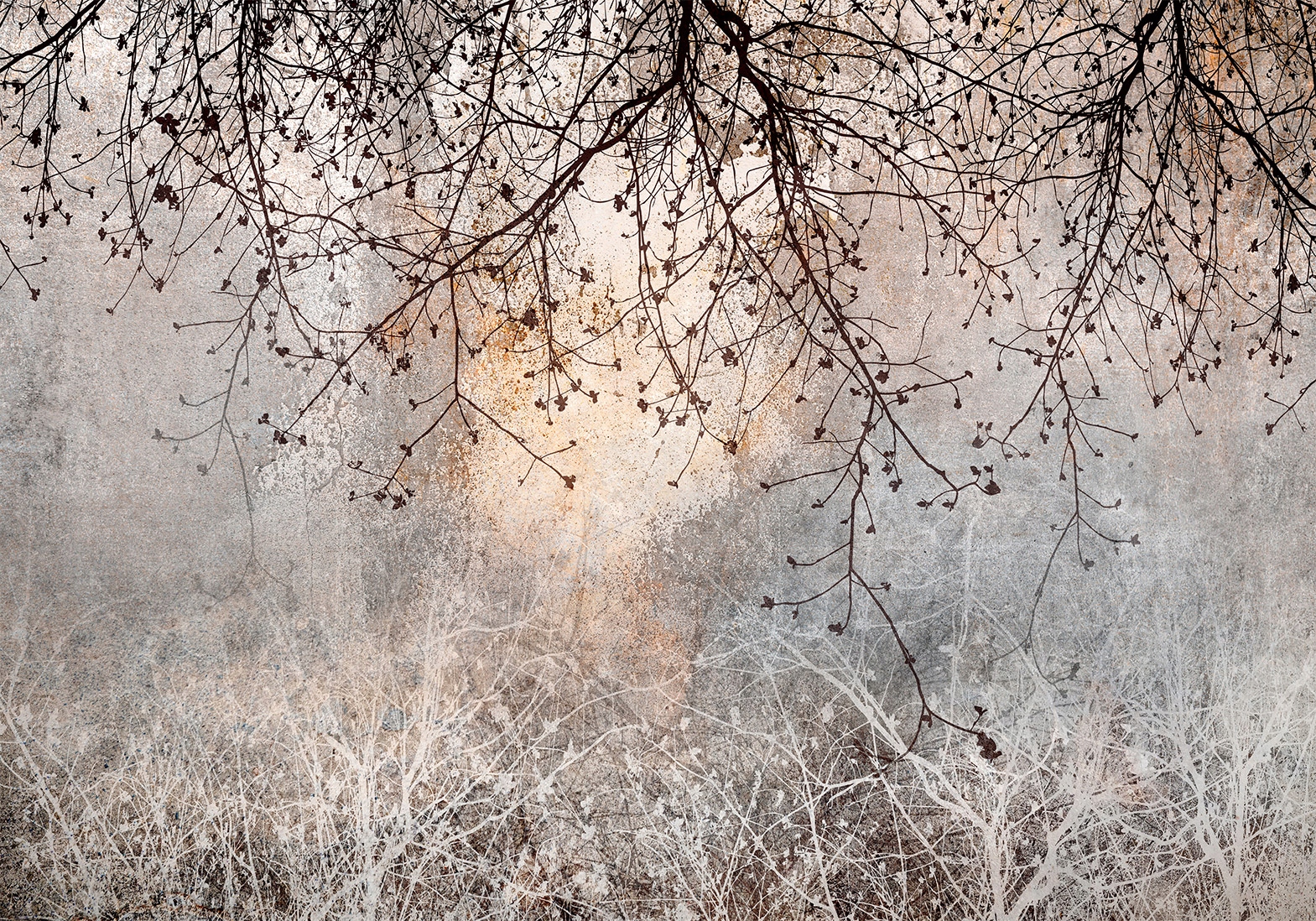 

Fototapeta Drzewo Gałązki 350x256 b-C-10084-a-a