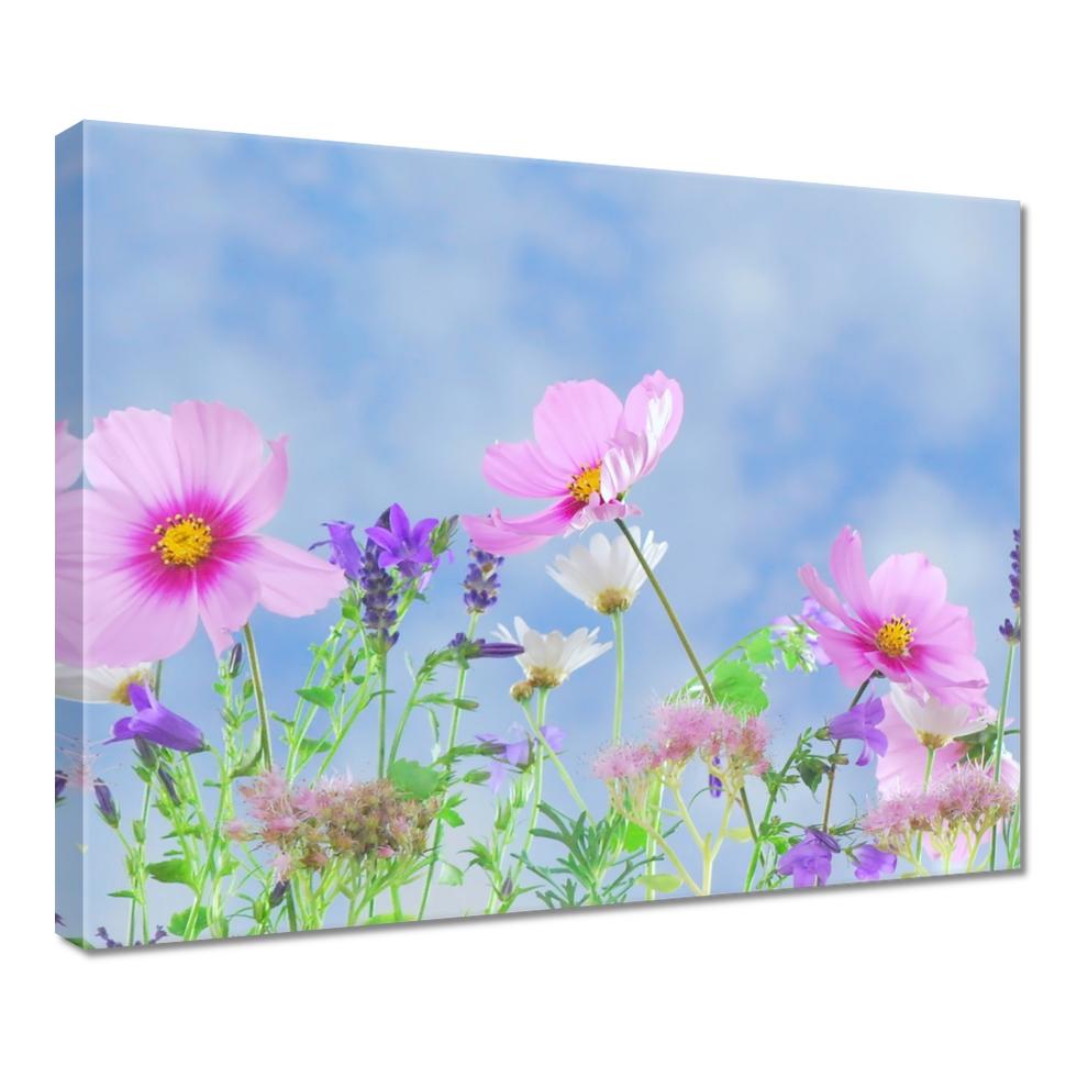 

Obrazy 50x40 Delikatne kwiatki