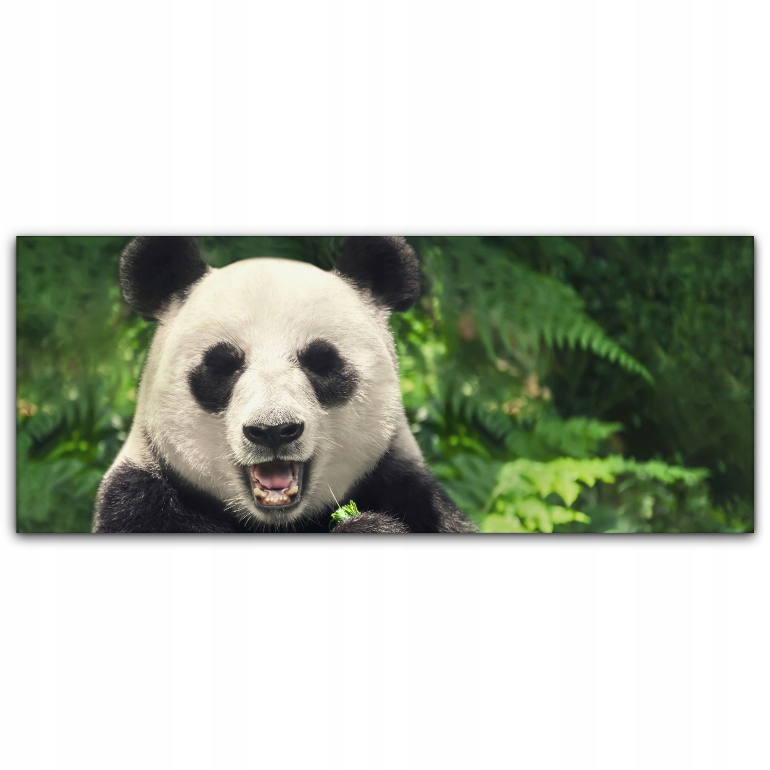 

Obraz na płótnie z foto 125x50 Chiny Wielka Panda