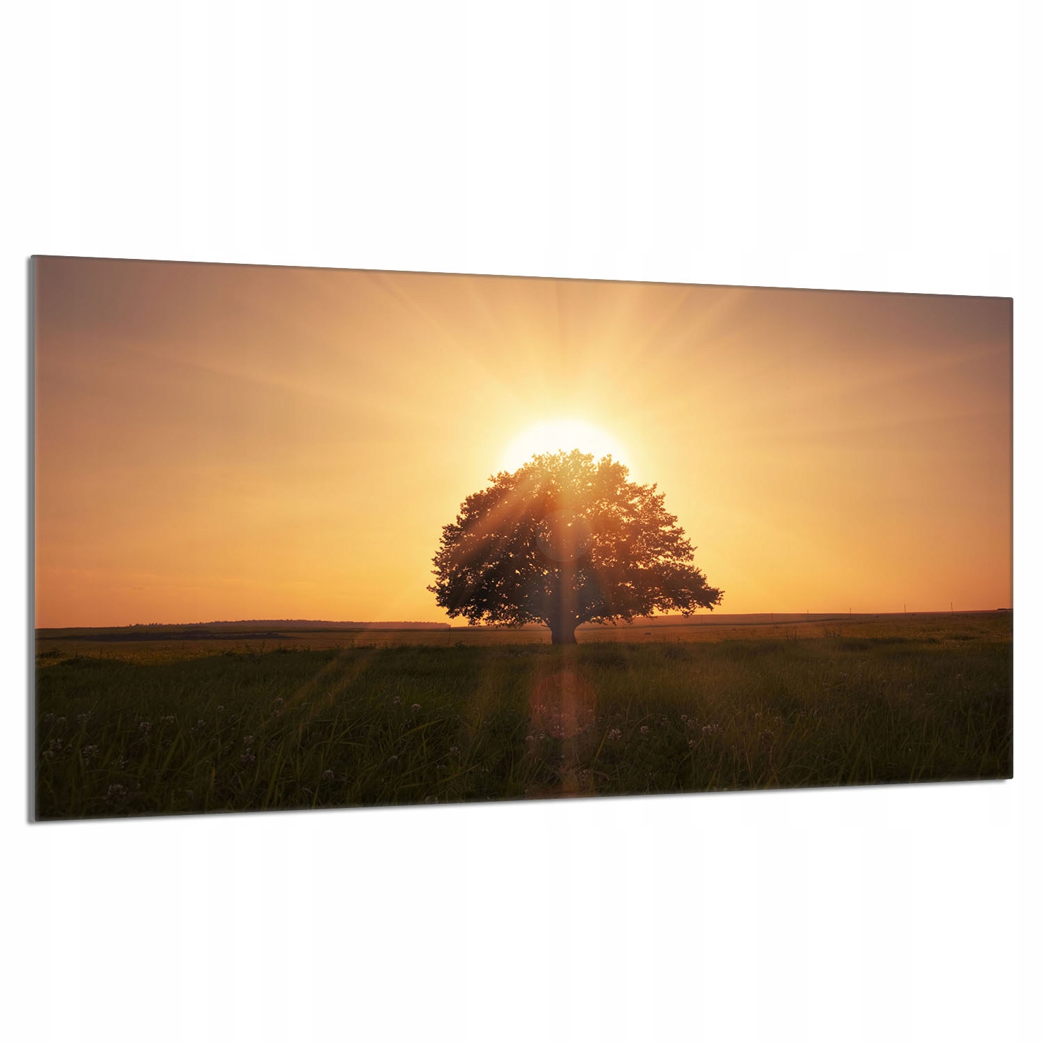 Skleněná ochranná deska na sporák 90x52 Strom do kuchyně