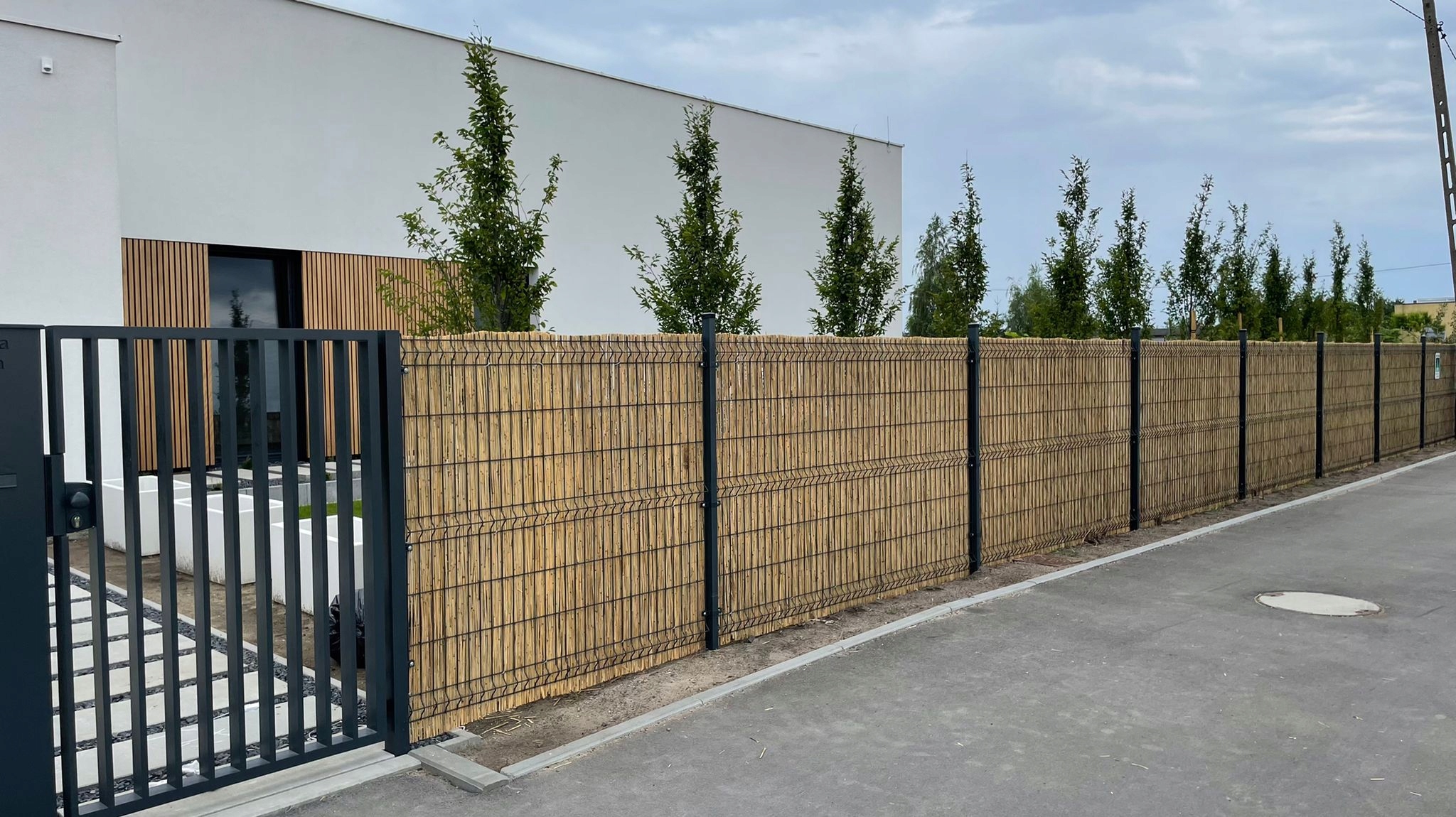 Mata trzcinowa 160 x 600 cm Promocja !!!