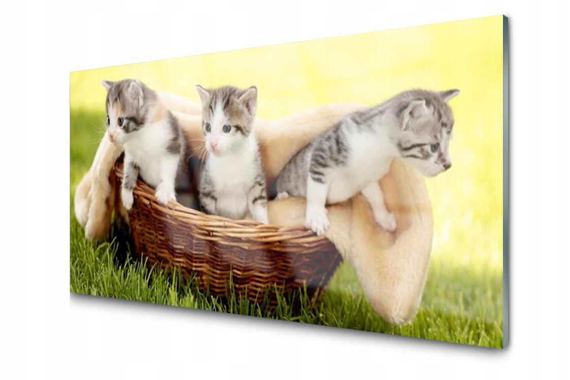 

Panel szklany dekor Koty Zwierzęta 140x70 + Klej