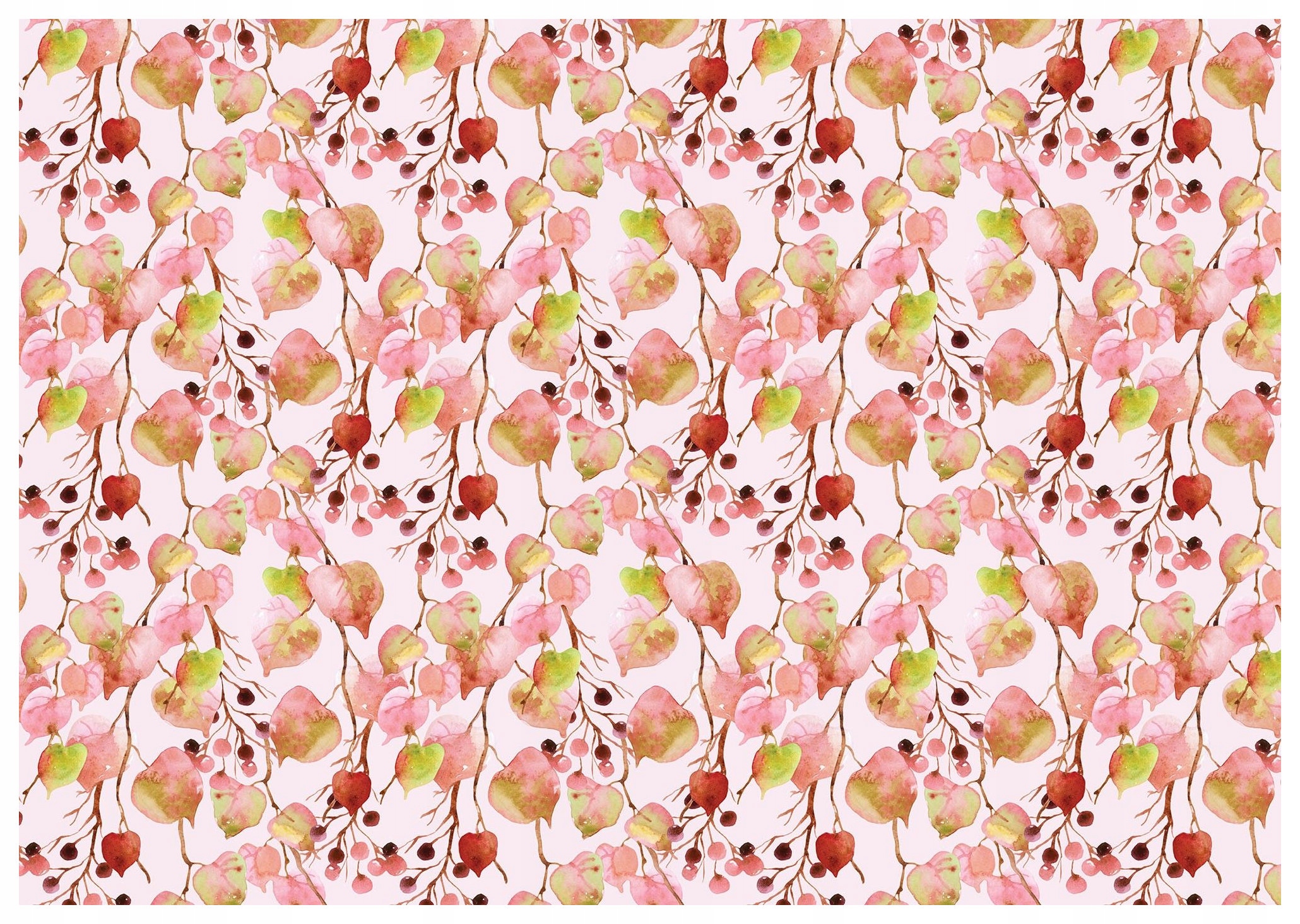 Fototapeta Růžové větvičky akvarel listy bobule vinylová 208x146 lepidlo