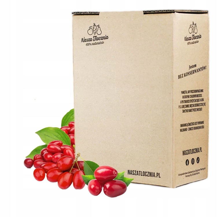 Protlak z derenia smoothie zmrzlina 100% Dřín jedlý bez cukru pyré Nfc 3kg