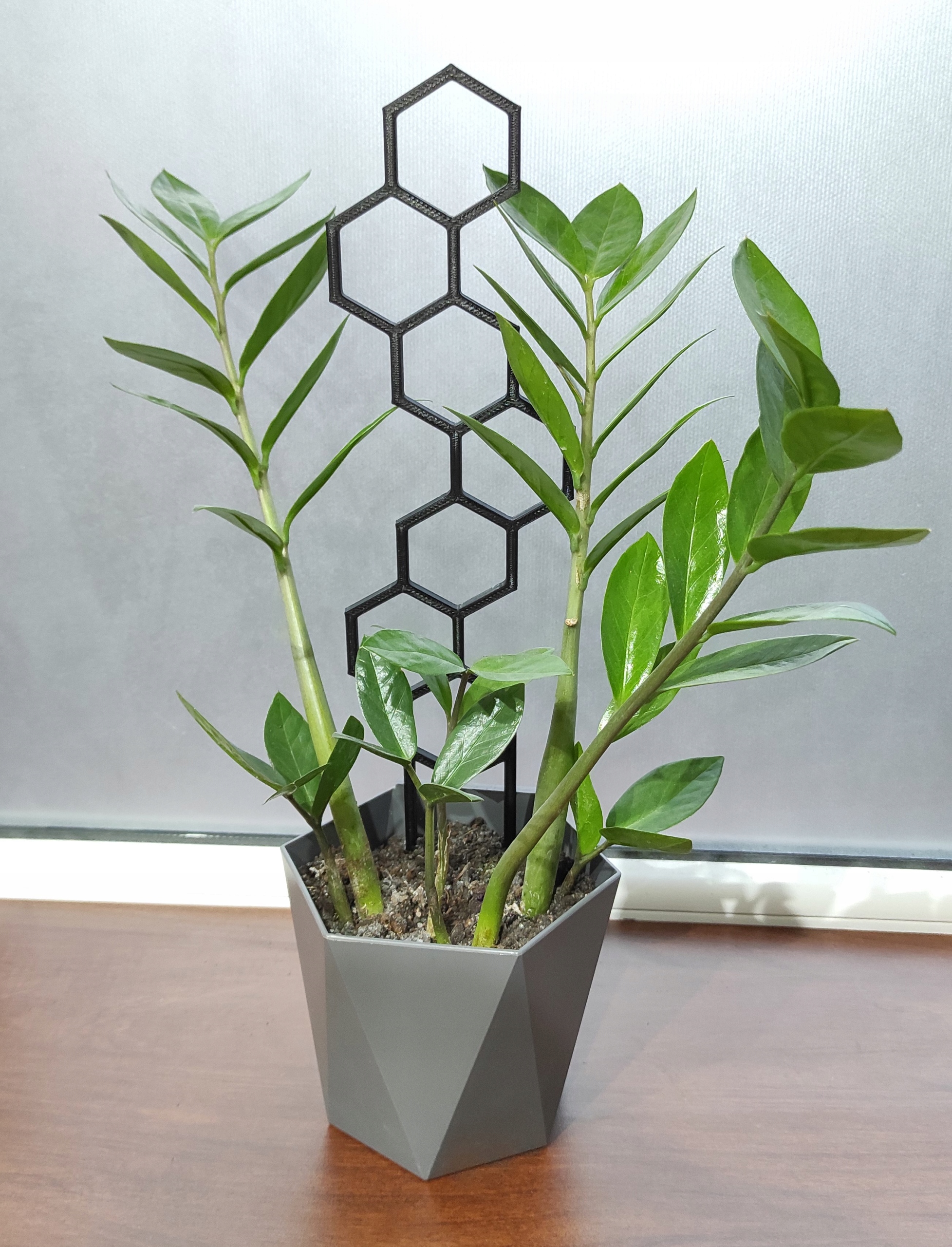 4x PODPÓRKA KWIATÓW ROŚLIN PERGOLA MIÓD 37cm Kod producenta economy_37_4_bk