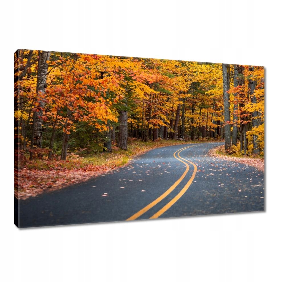 

Obrazy 120x80 Pejzaż Krajobraz Widoczek