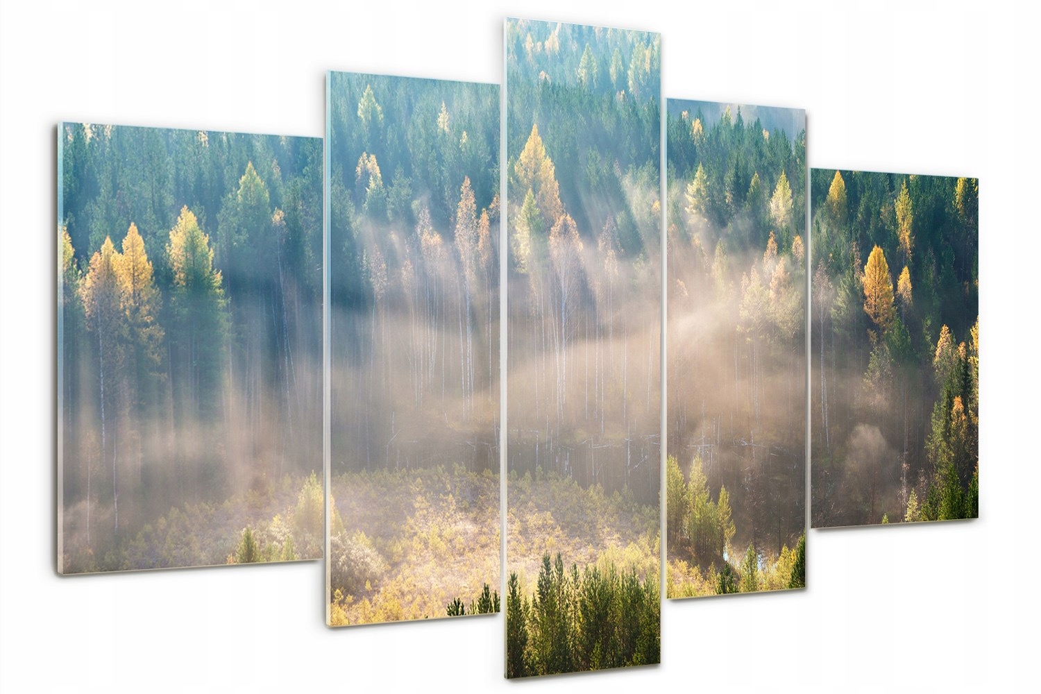 Skleněný triptych na zeď Mlha v lese
