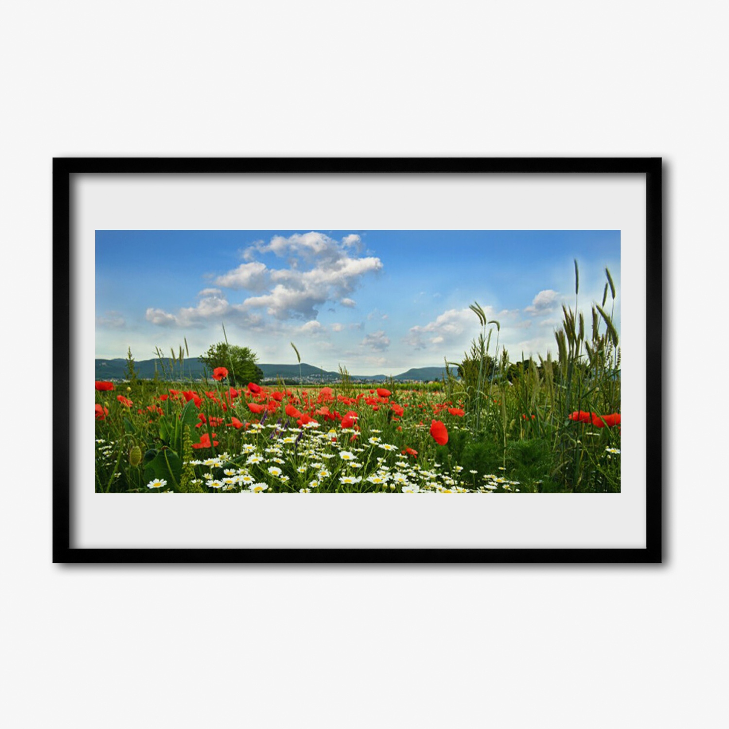 Moderní fotoobraz s rámem Louka květiny 60x40 cm