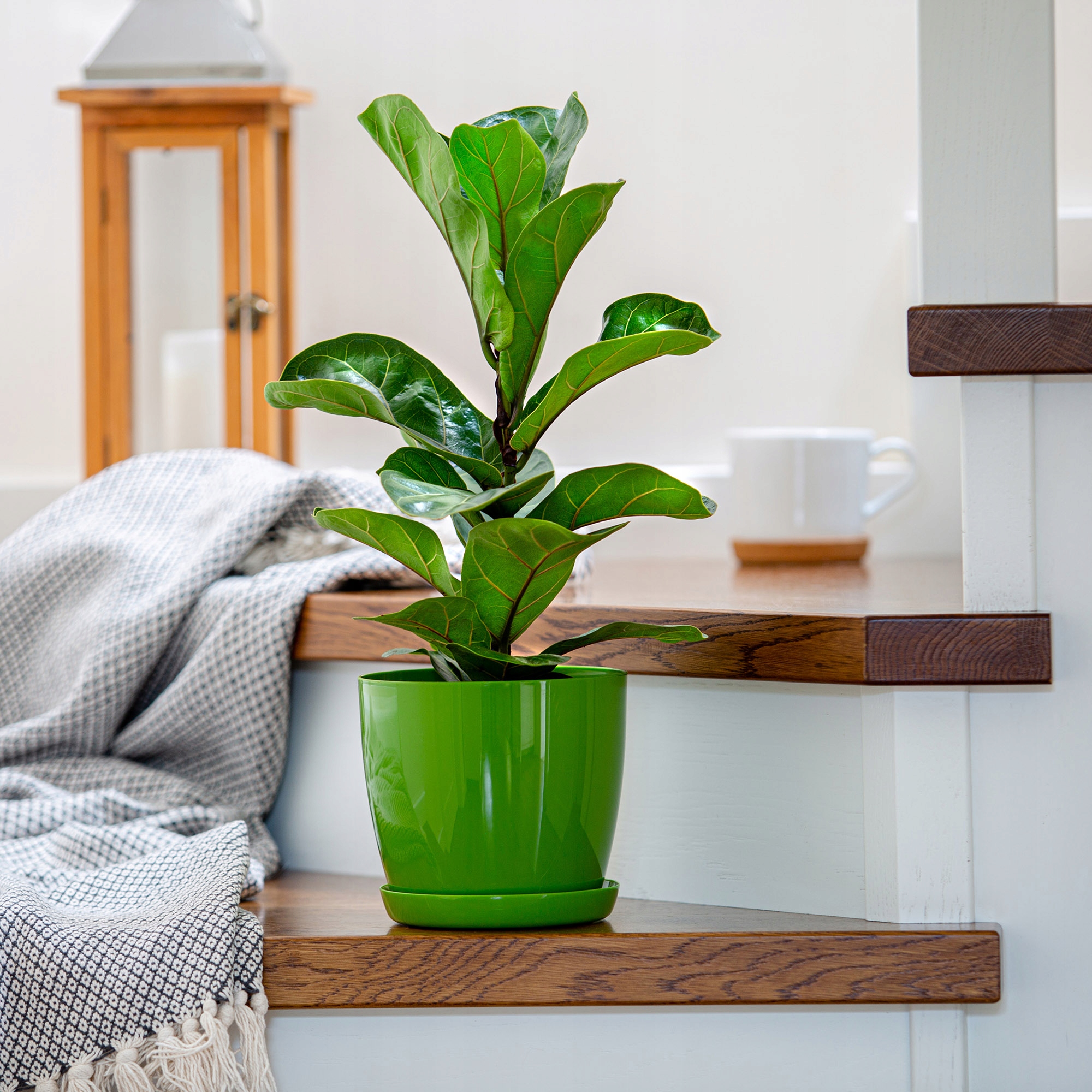 DONICZKA OSŁONKA Z PODSTAWKĄ DONICA 14 cm KOLORY Kod producenta K1072