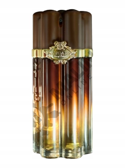 Remy Latour Cigar Mystic Oud 100ml Edp Pánská parfémovaná voda
