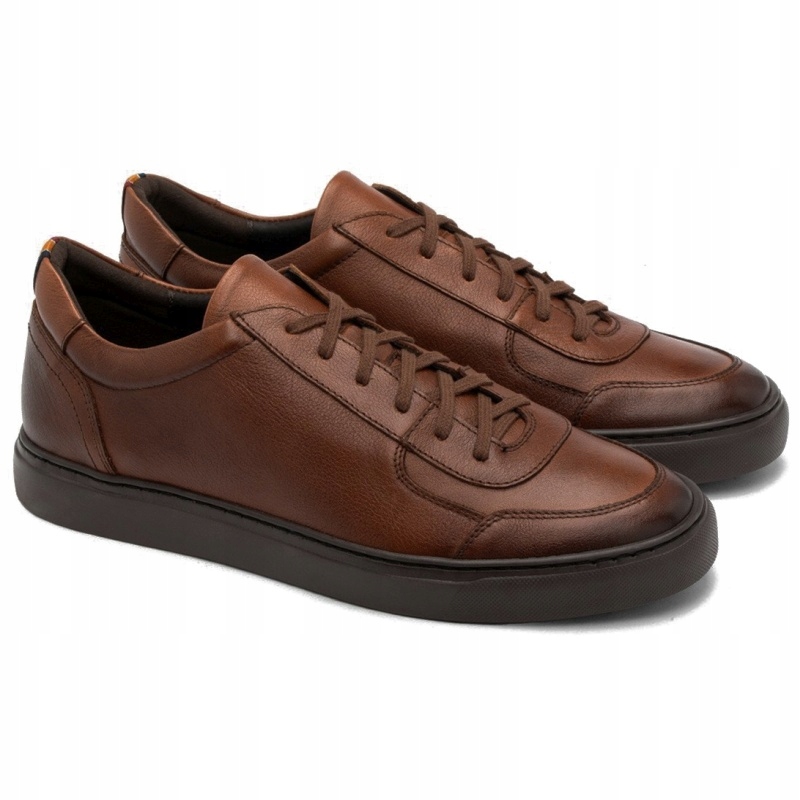 Pánské kožené polobotky Ryłko IDVC12__3CXF hnědé Kůže VEL.41