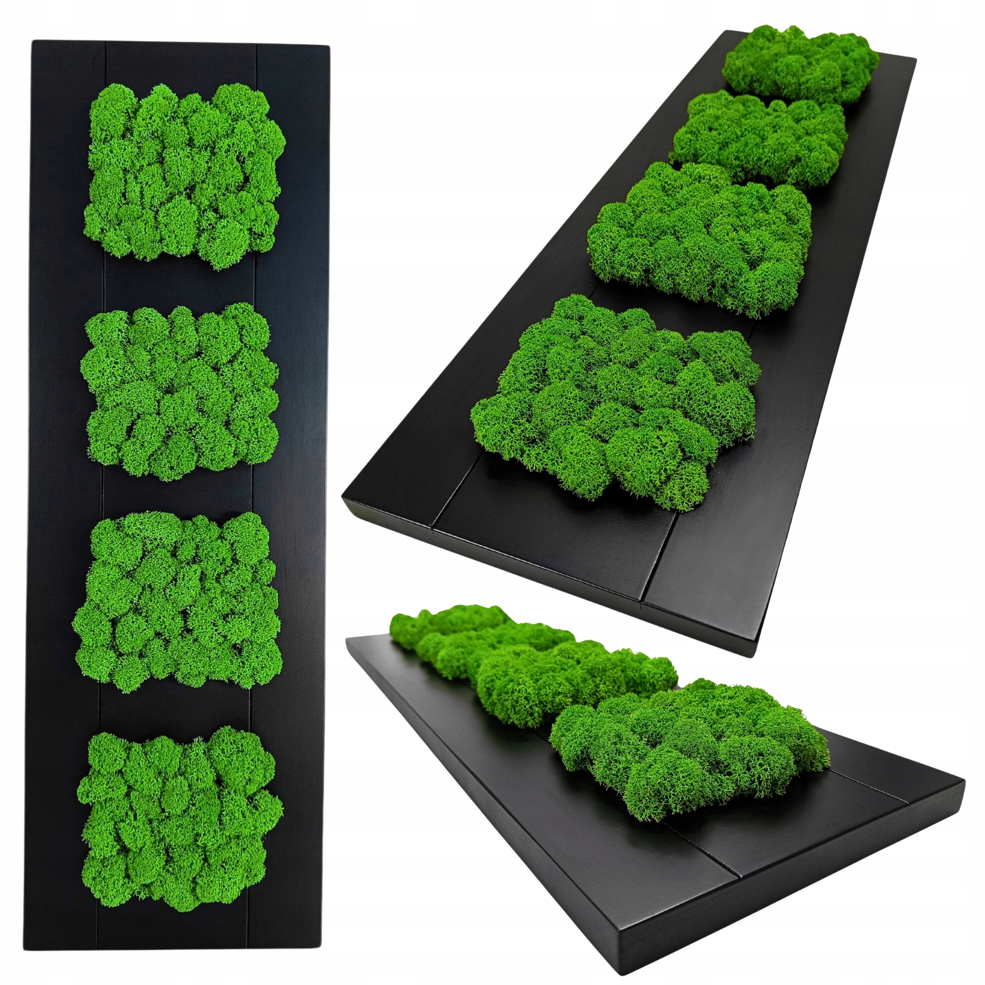 Obraz mech chrobotek Dekorace Na Zeď Ručně Vyrobený dřevěný obrázek